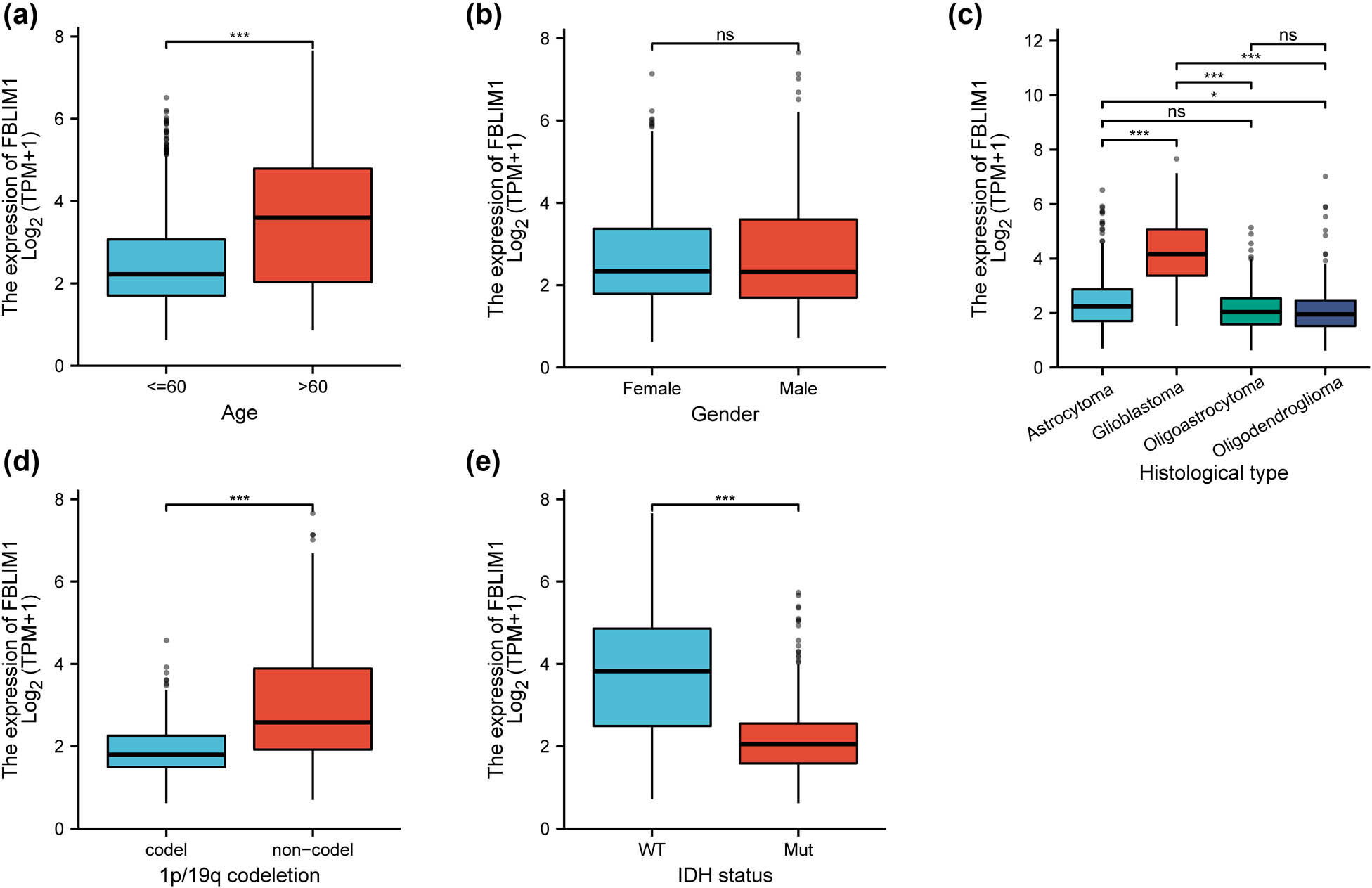 Figure 2
Relation with FBLIM1 levels and clinicopathological traits, consisting of (a) gender, (b) age, (c) histological type, (d) 1p/19q codeletion, and (e) IDH status.