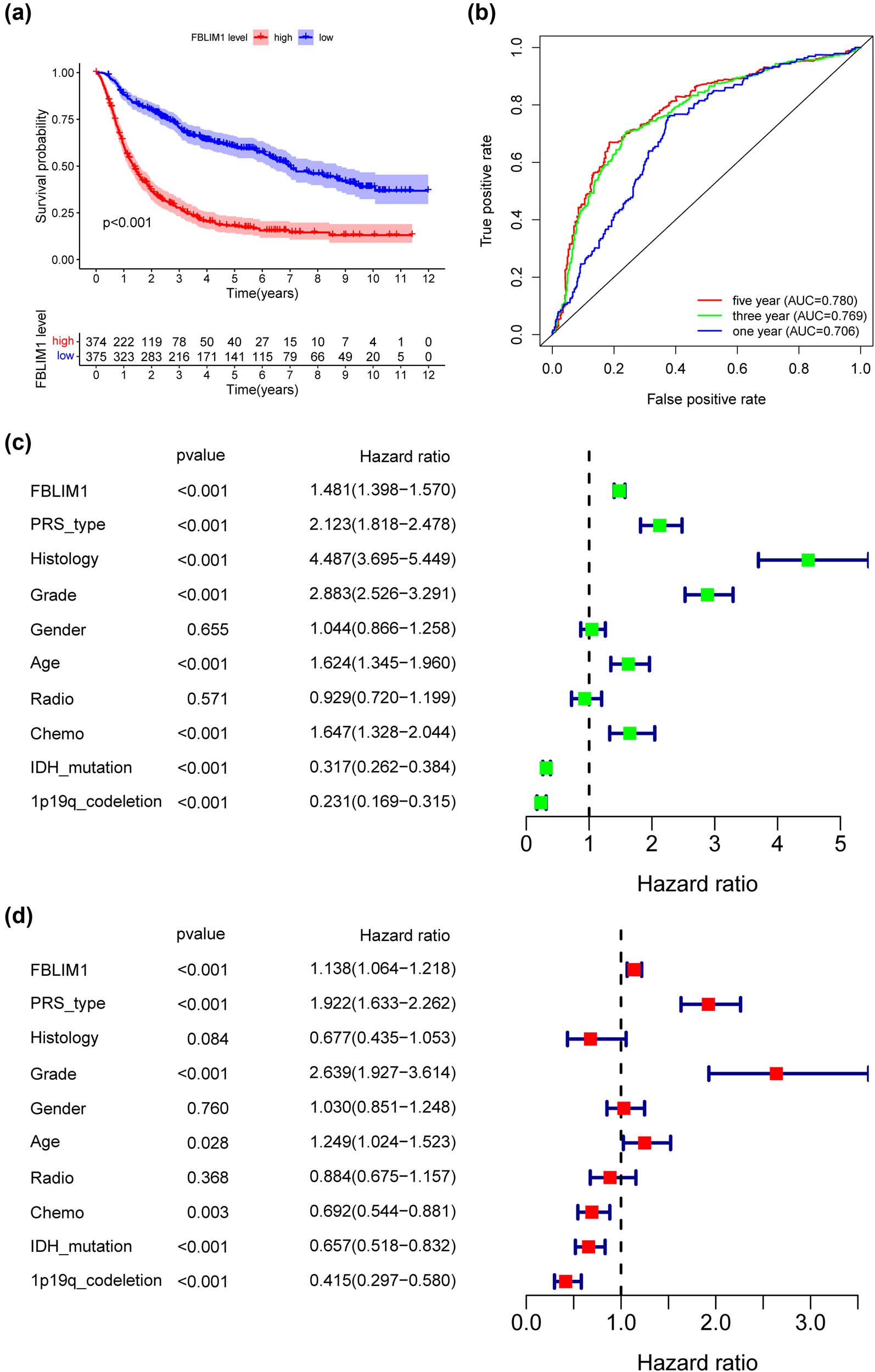 Figure 4
The prognostic value of FBLIM1 levels in glioma patients using CGGA datasets (n = 749). (a) Kaplan–Meier curves for OS in glioma patients with glioma grouped following FBLIM1 expression. (b) ROC curve analysis of FBLIM1. (c and d) Univariate and multivariate analysis of FBLIM1.