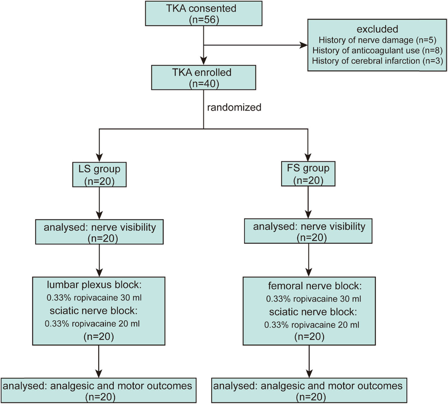 Figure 2
Consolidated standards of reporting trials flow diagram. LS, lumbar plexus block combined with sciatic nerve block group; FS, femoral nerve block combined with sciatic nerve block group; TKA, total knee arthroplasty.