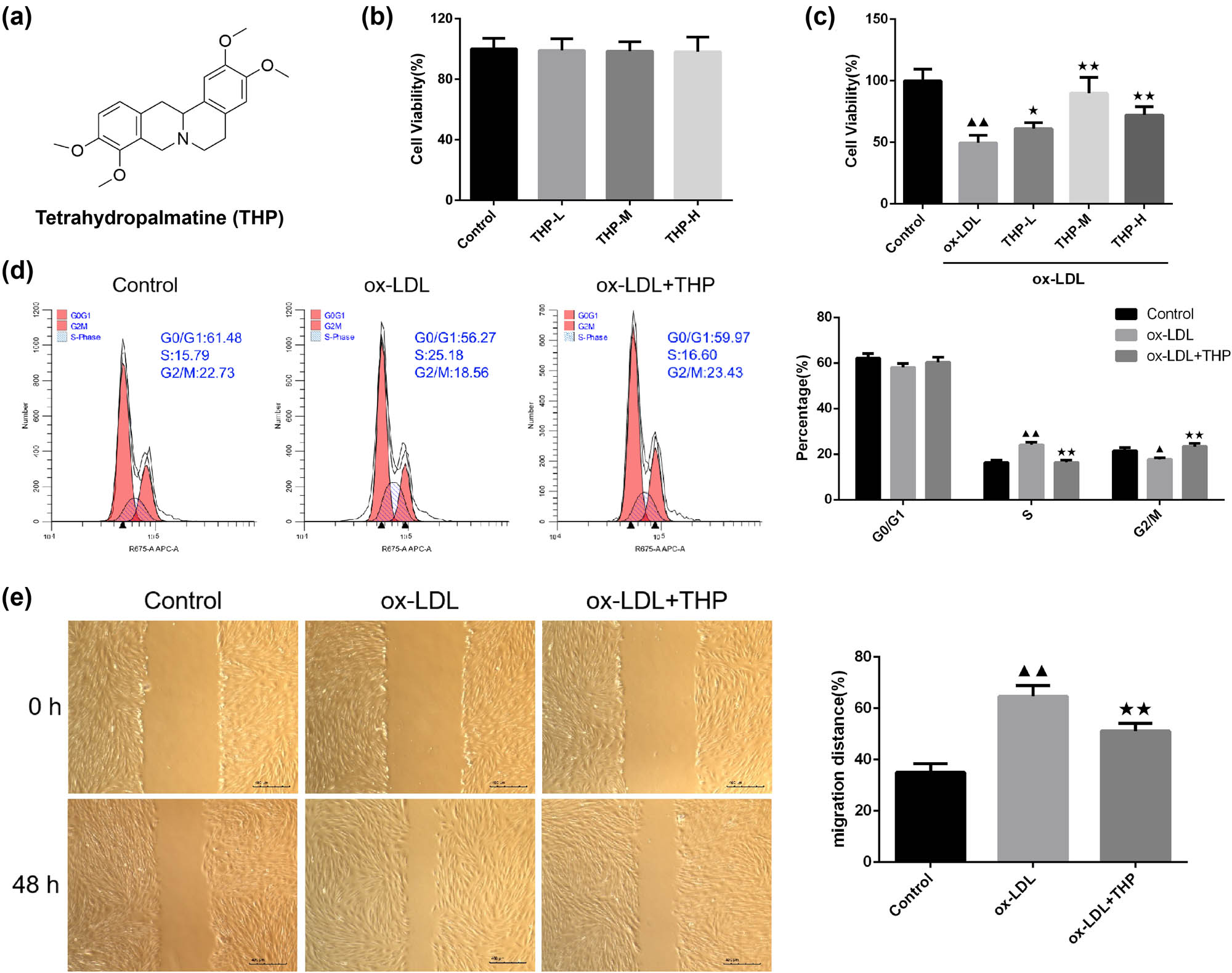 Teaser image from the article