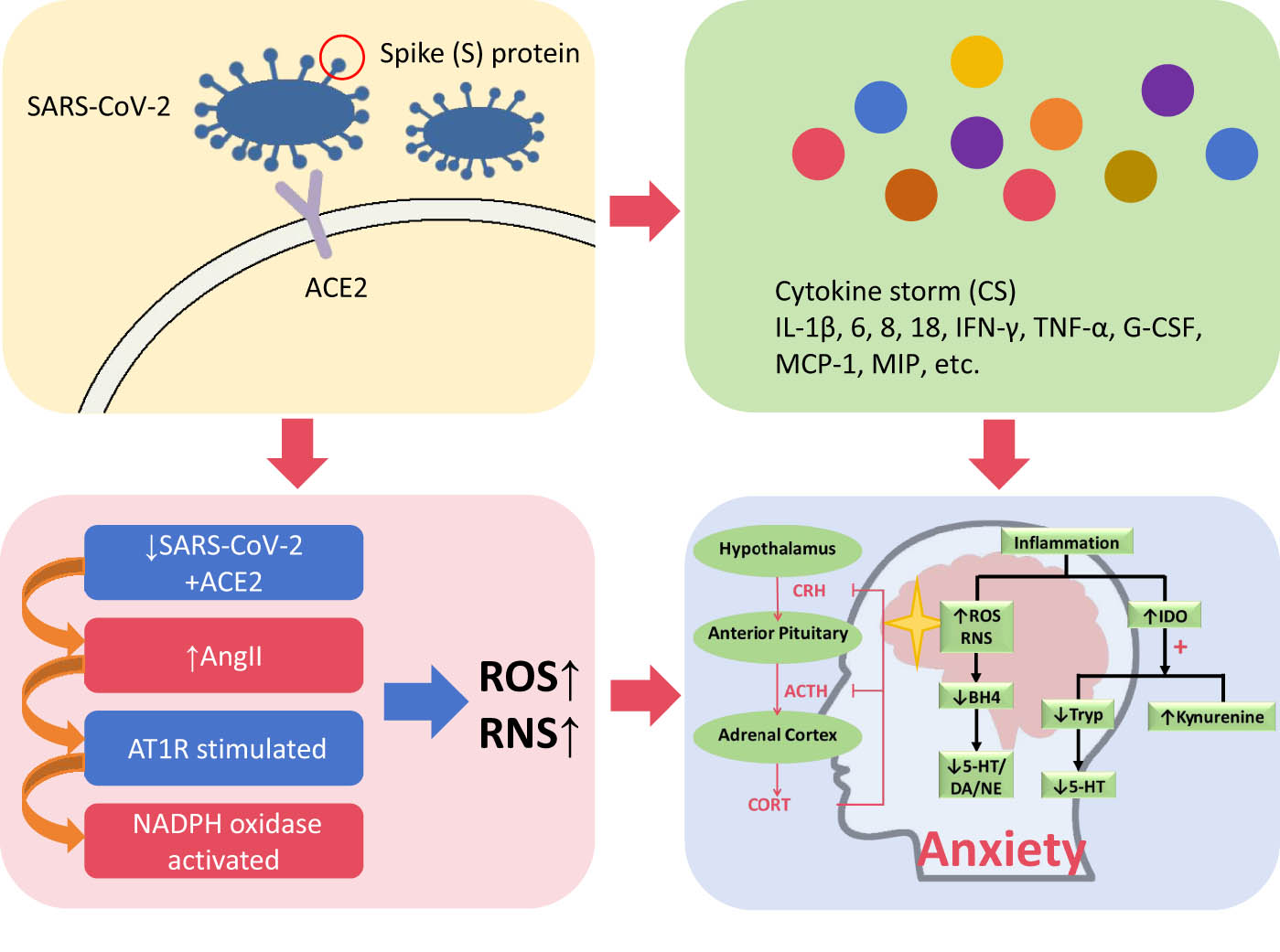 Teaser image from the article
