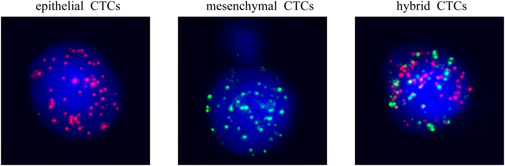 Teaser image from the article