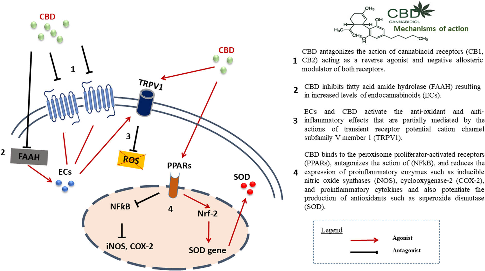 Figure 1
Proposed mechanisms of action of CBD in PD.
