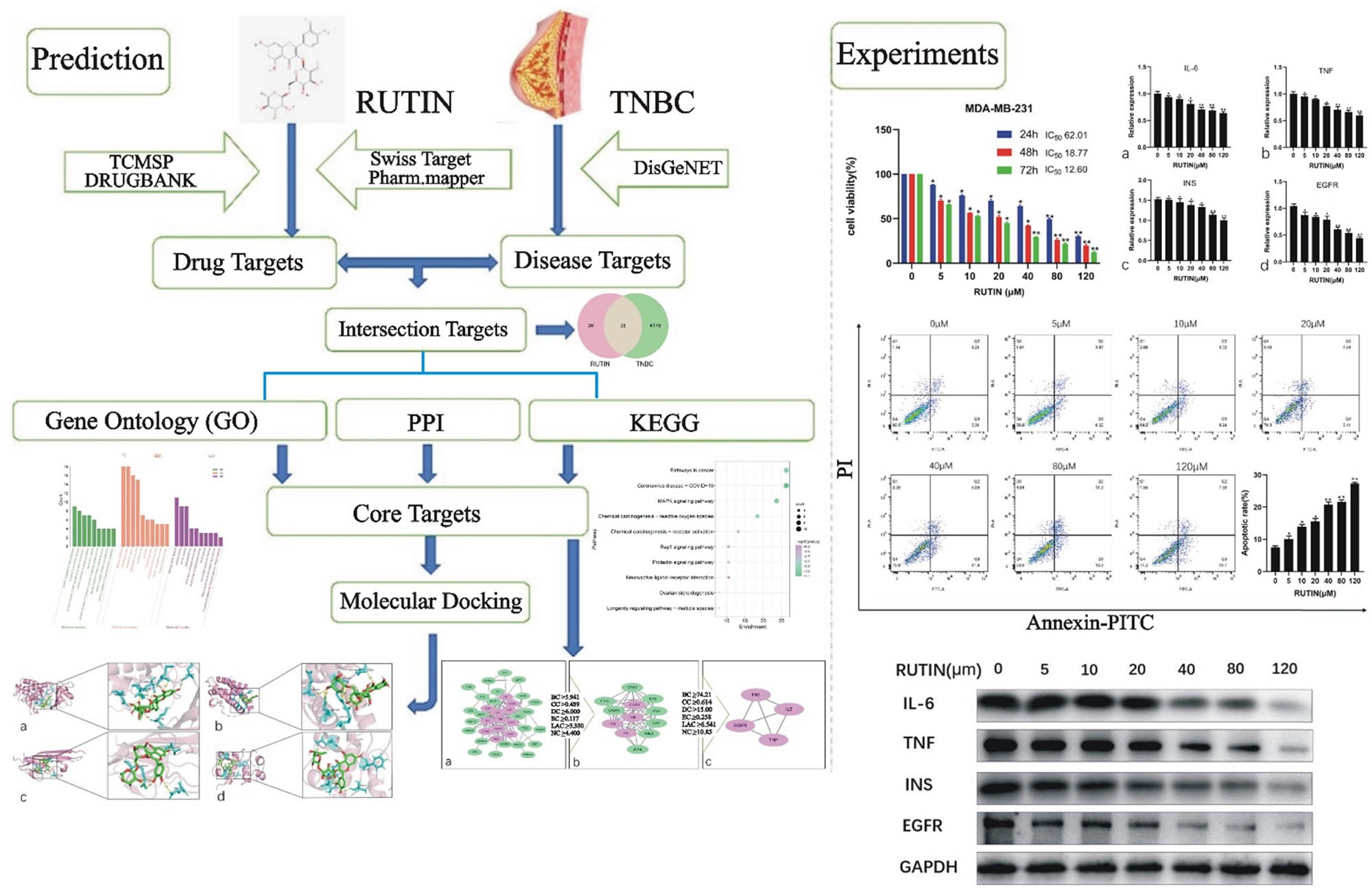 Teaser image from the article