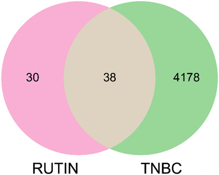 Figure 2 
                  Venn diagram of the intersection of rutin and TNBC.
               