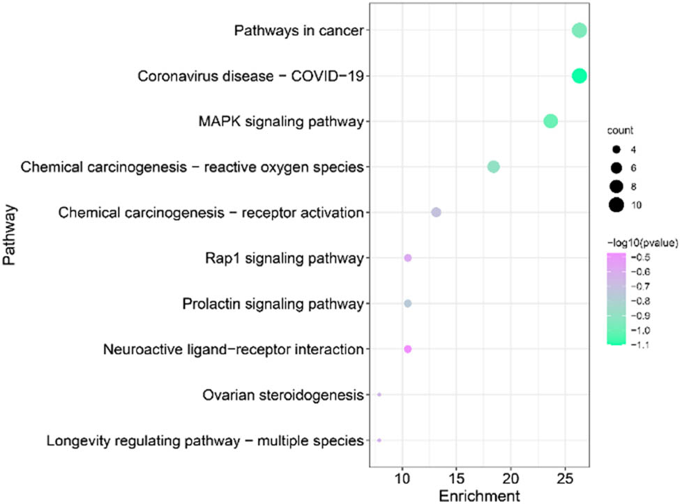 Figure 5 
                  KEGG analysis of intersected targets.
               