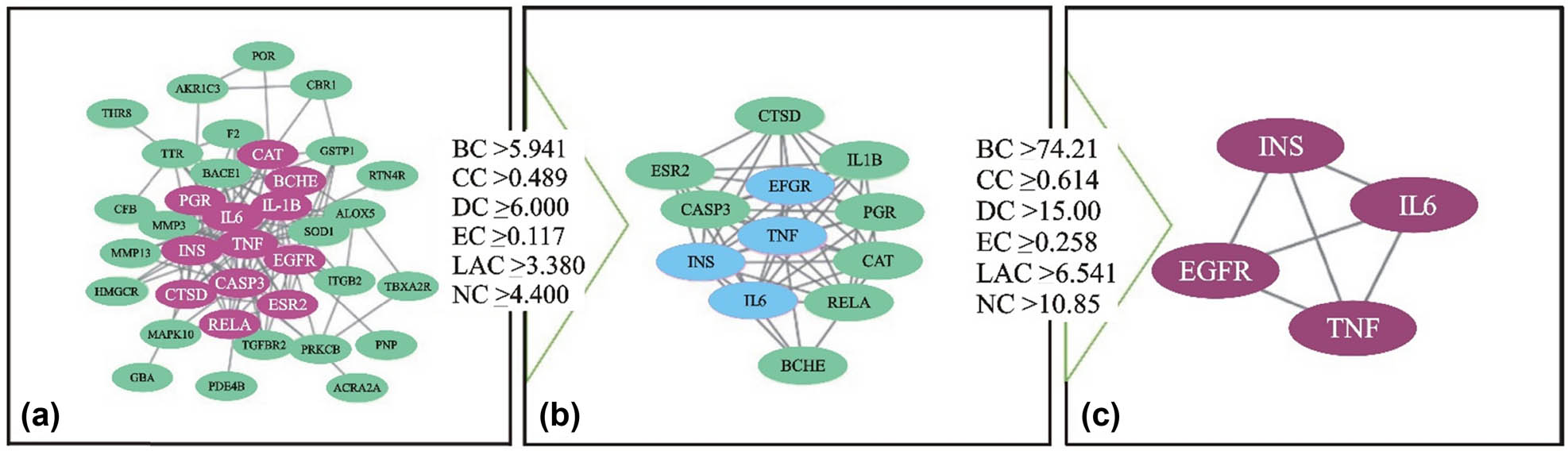 Figure 6 
                  The procedure of topological screening for the PPI network. (a) 38 core targets, except CA2 and CA12, (b) 12 target genes, and (c) 4 target genes.
               