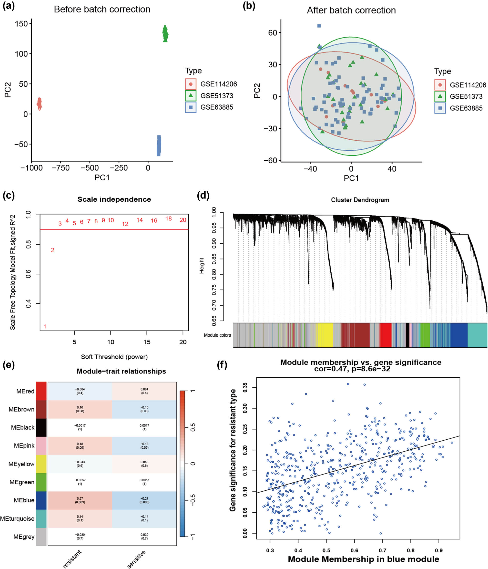 Teaser image from the article