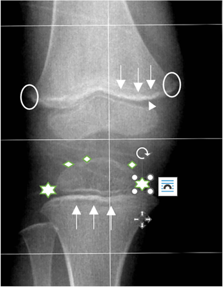 Teaser image from the article