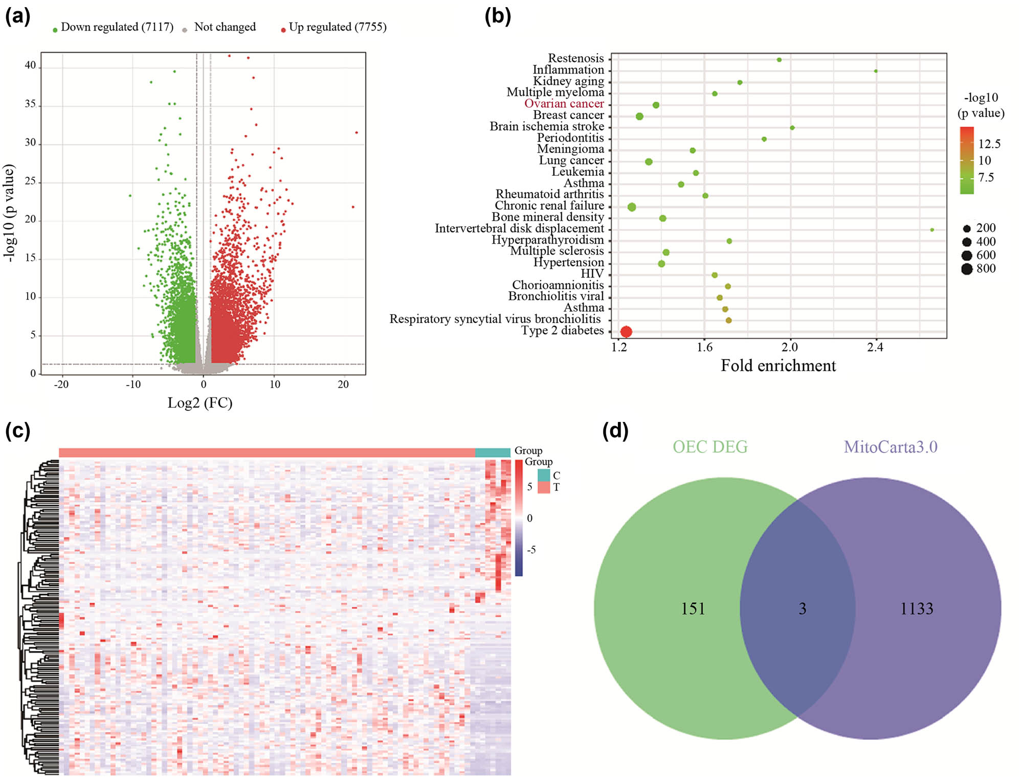 Teaser image from the article