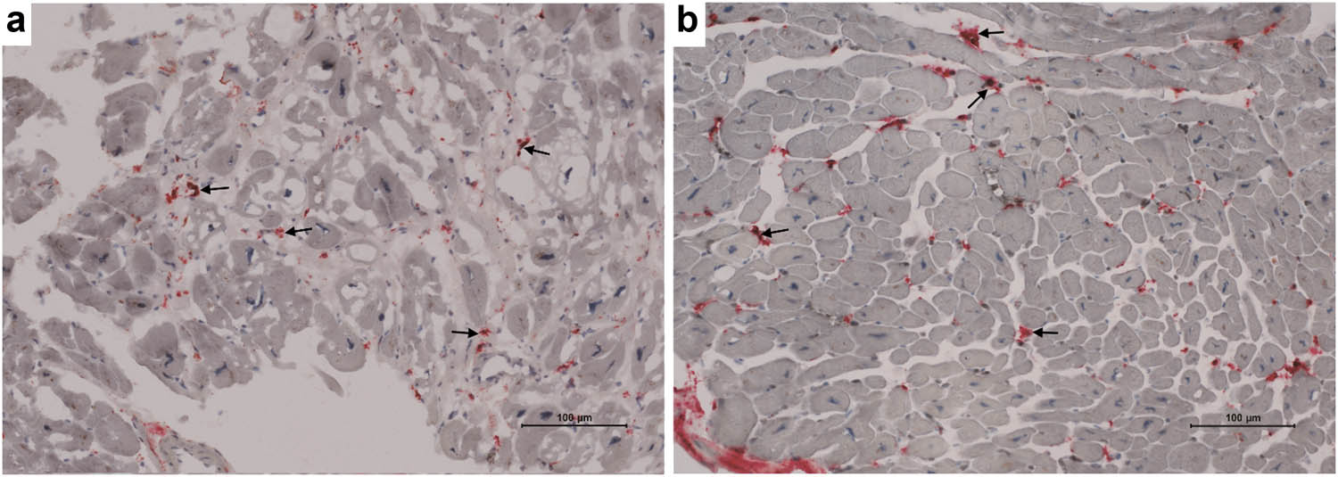 Teaser image from the article