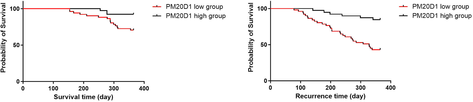 Figure 4
K–M curves for 12 months survival and recurrence time for GC patients with high/low serum levels of PM20D1.