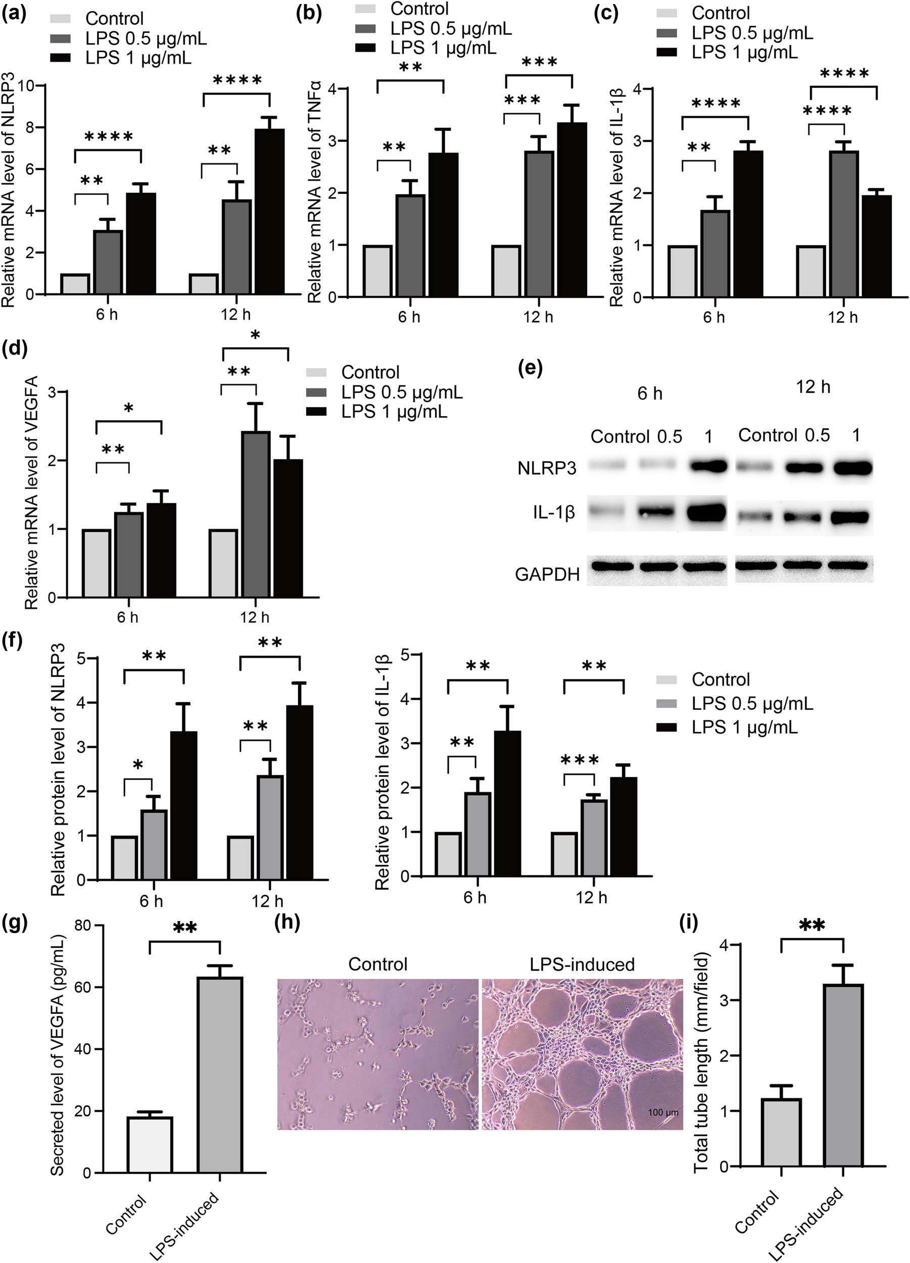 Teaser image from the article