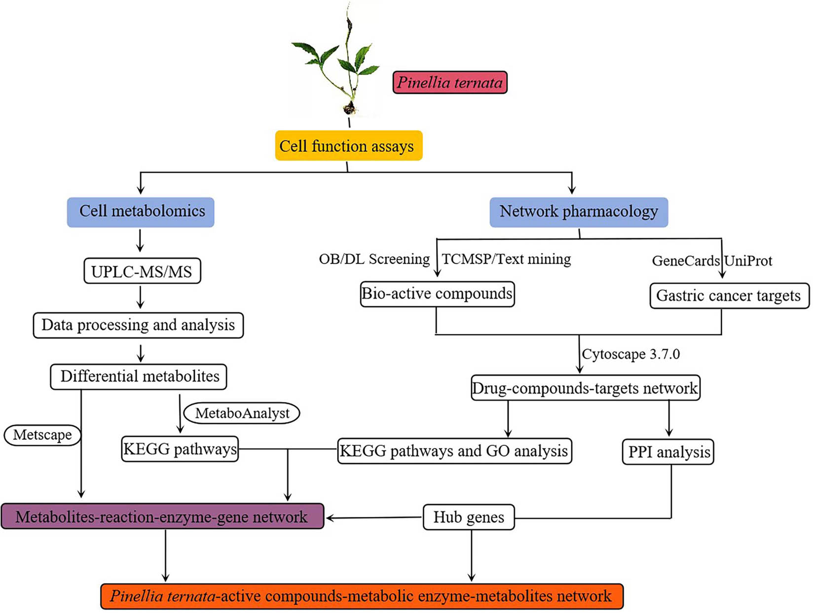 Figure 1
Technical strategy of the current study.
