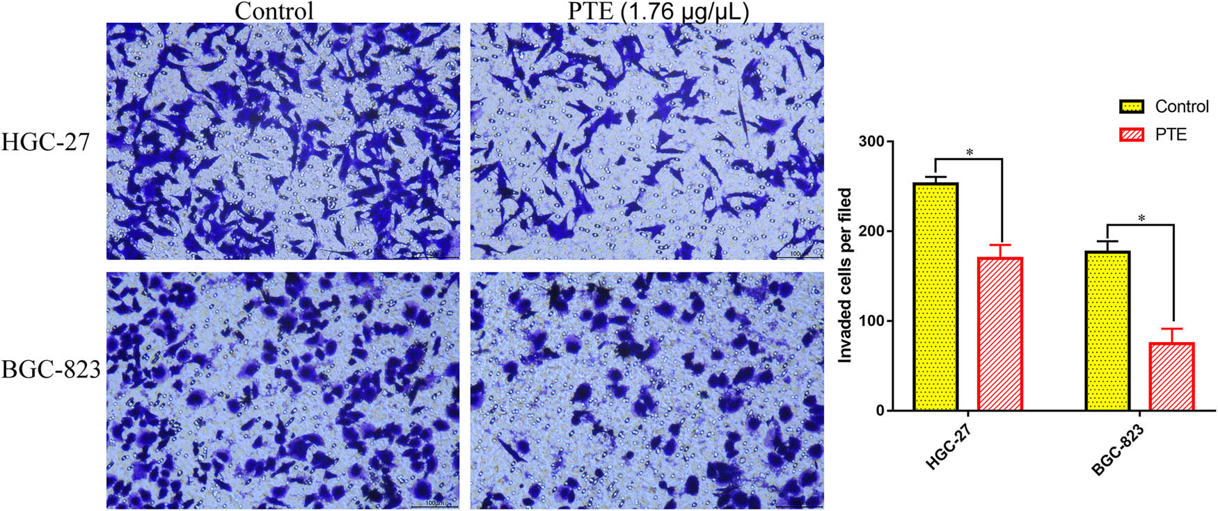 Figure 4
Effects of PTE on the invasion of HGC-27 and BGC-823 cells. * represents p < 0.05 compared with the control group.