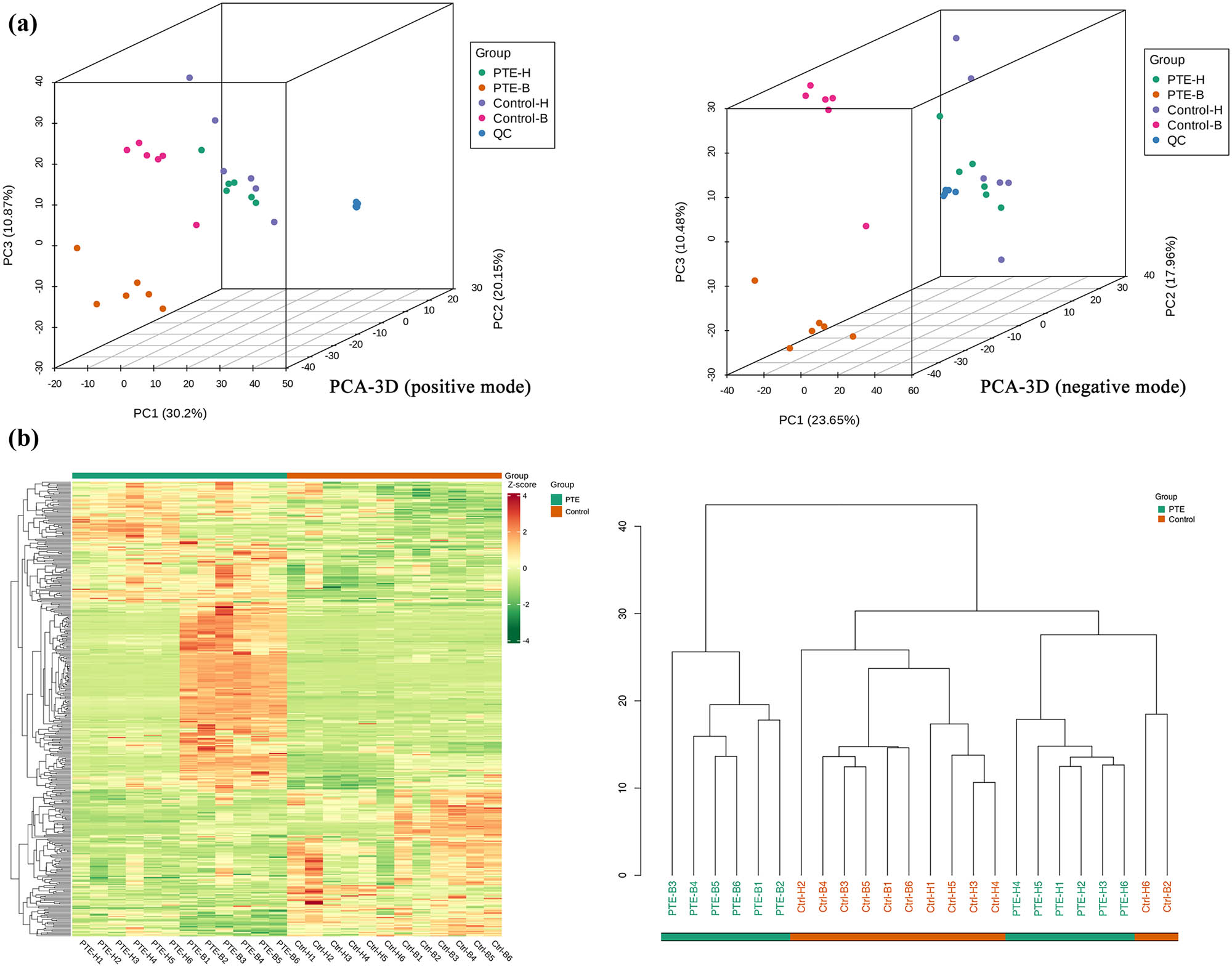 Figure 5
PCA and cluster analysis of overall metabolites. (a) PCA-3D score chart of overall metabolites from LC–MS data in positive and negative modes. (b) Overall cluster diagram of the metabolites. Data were calculated by the Pearson correlation method after mean centering and unit variance scaling.