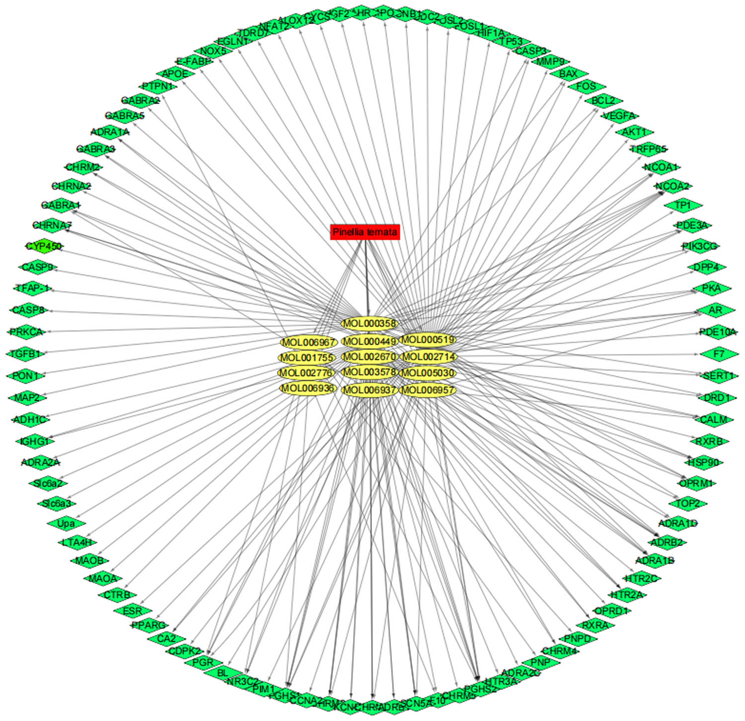 Figure 8
Drugs–bioactive components–disease targets network for PT on gastric cancer. The red nodes represent the PT drug, the yellow nodes represent candidate active compounds, and green nodes represent potential protein targets. The edges represent the interactions between these nodes.