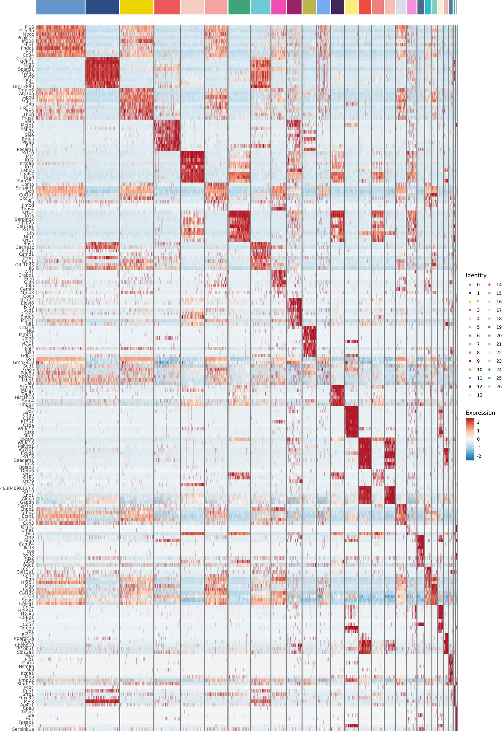 Teaser image from the article