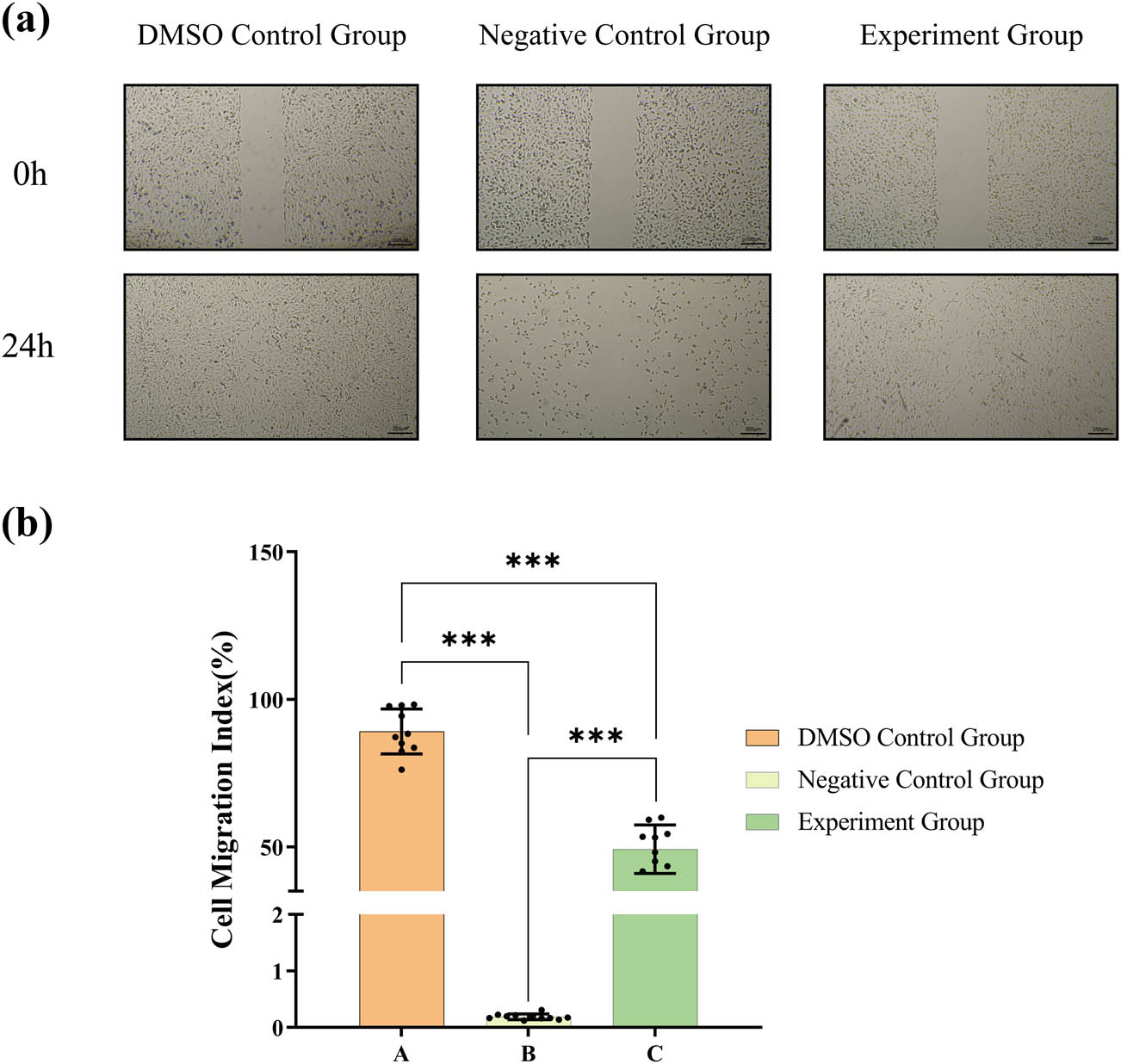 Figure 5 
                  (a) Images of the scratch assay of 786-O cells in each group after drug treatment. (b) Statistical analysis of the cell migration rate of each group. The numerical details can be seen in Figure 10b(b).
               