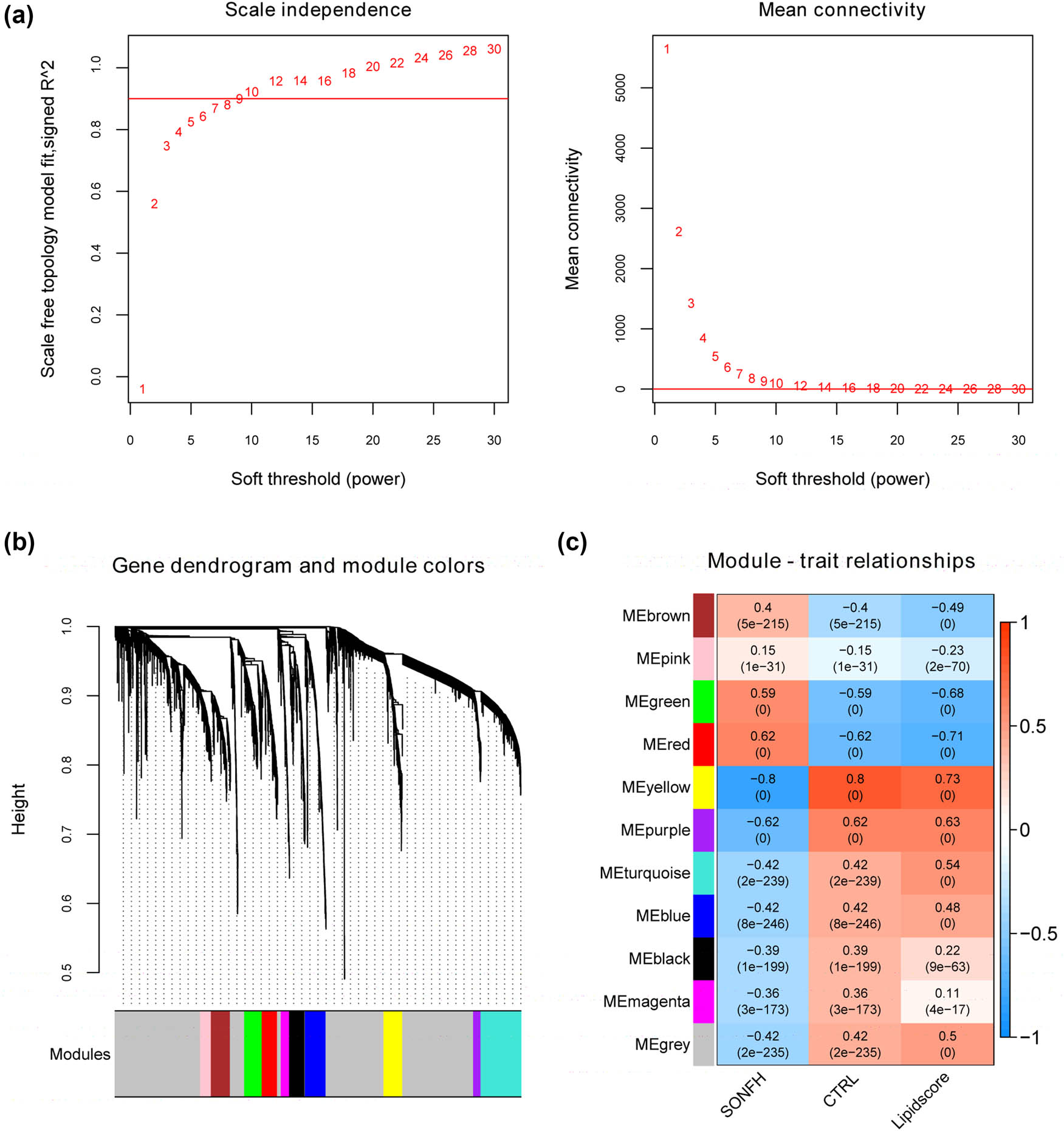 Figure 3 
                  Weighted gene co-expression network analysis. (a) Selection of the soft threshold; (b) co-expression network of DEGs from GSE123568; (c) module–trait relationships: upper numbers for each module indicate the correlation coefficient, and numbers in brackets indicate the p-value.
               