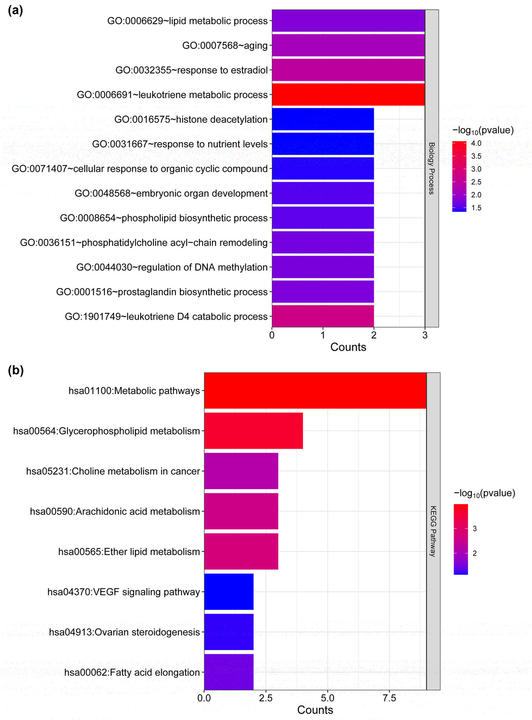 Figure 4 
                  Functional pathway enrichment of lipid metabolism-related DEGs. (a) GO analysis of hub genes and (b) KEGG pathway analysis of hub genes. The horizontal axis represents the number of genes associated with the term, the vertical axis represents the term, and the color represents significance.
               