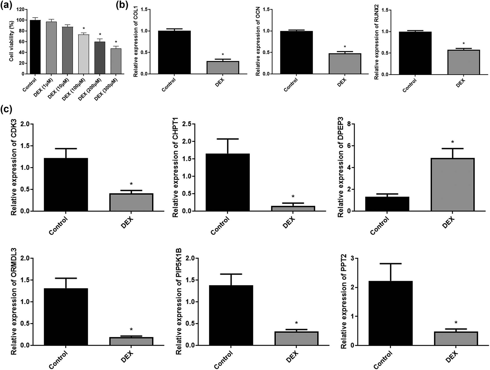 Figure 7 
                  Validation of the six optimized genes. (a) CCK-8 assay was used to detect the viability of MC3T3-E1 cells and DXM-treated MC3T3-E1 cells. *p < 0.05, compared with the control. (b) qRT-PCR was used to detect the expression levels of COL1, OCN, and RUNX2. *p < 0.05, compared with the control. (c) qRT-PCR was used to detect the expression levels of CDK8, CHPT1, DPEP3, ORMDL3, PIP5K1B, and PPT2. *p < 0.05, compared with the control.
               