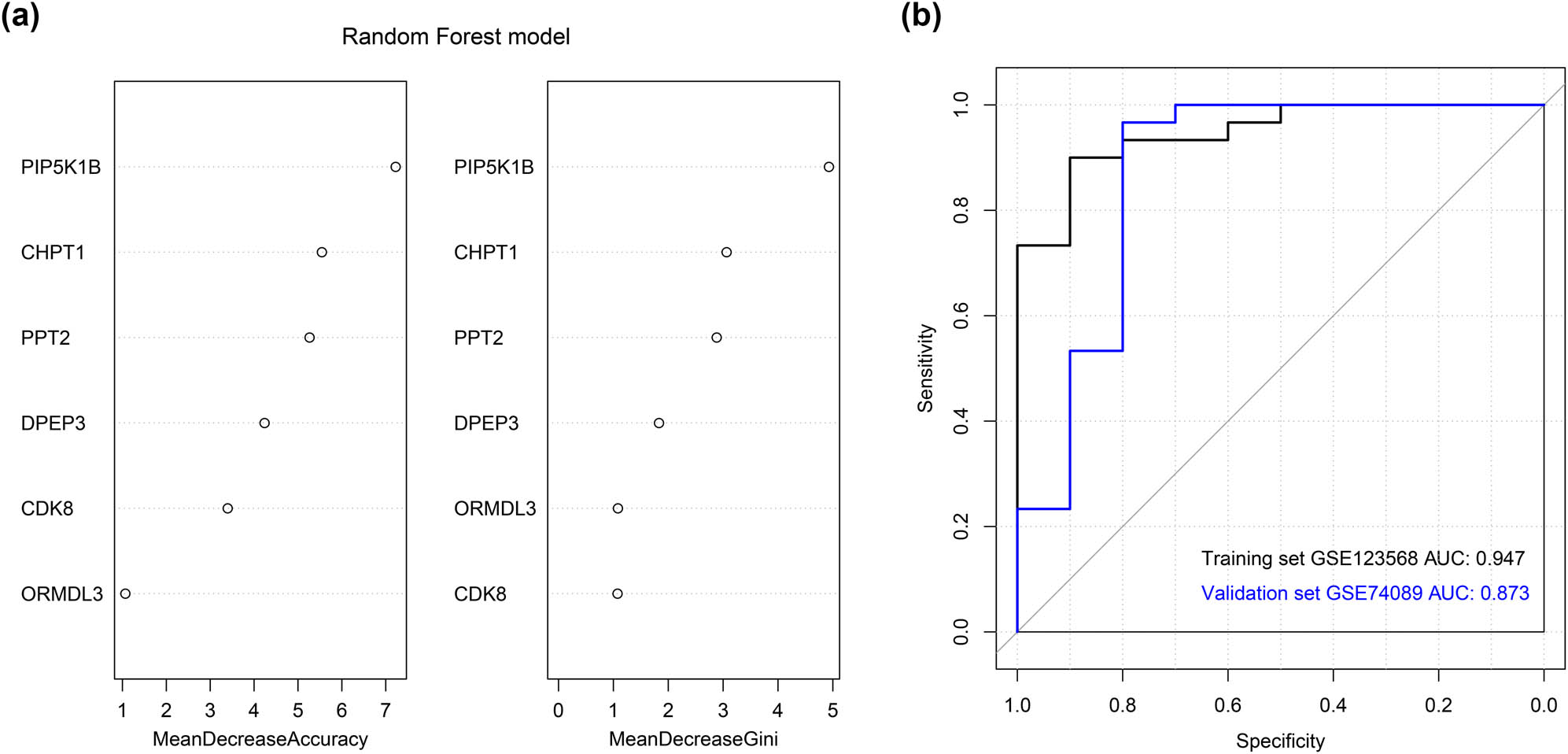 Figure A1 
                  ROC results for the random forest model based on the six optimized genes for discrimination between the SONFH and CTRL groups.
               