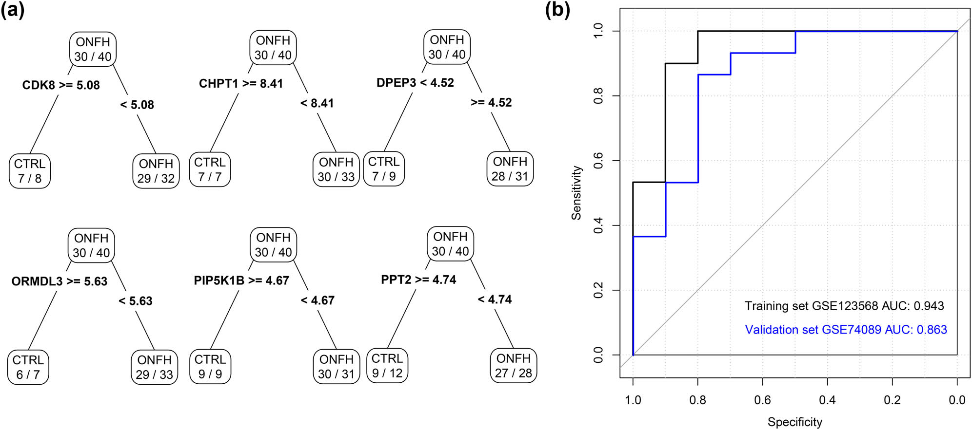 Figure A2 
                  ROC results for the decision tree model based on the six optimized genes for discrimination between the SONFH and CTRL groups.
               