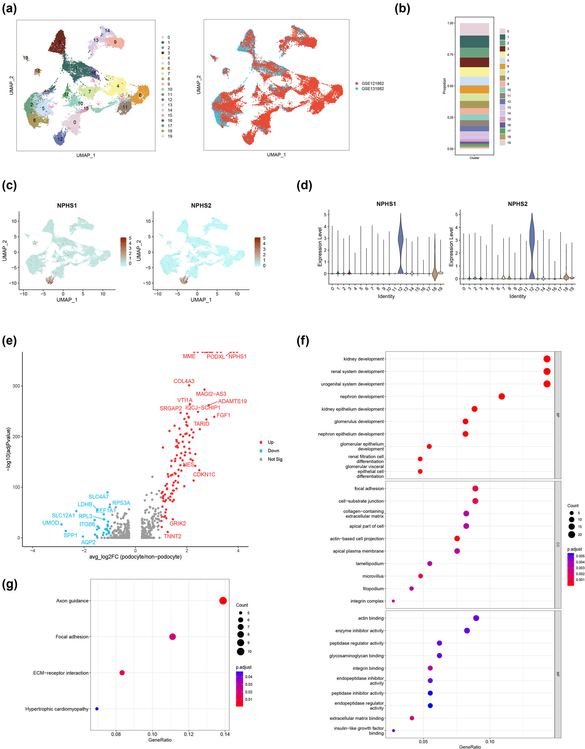 Teaser image from the article