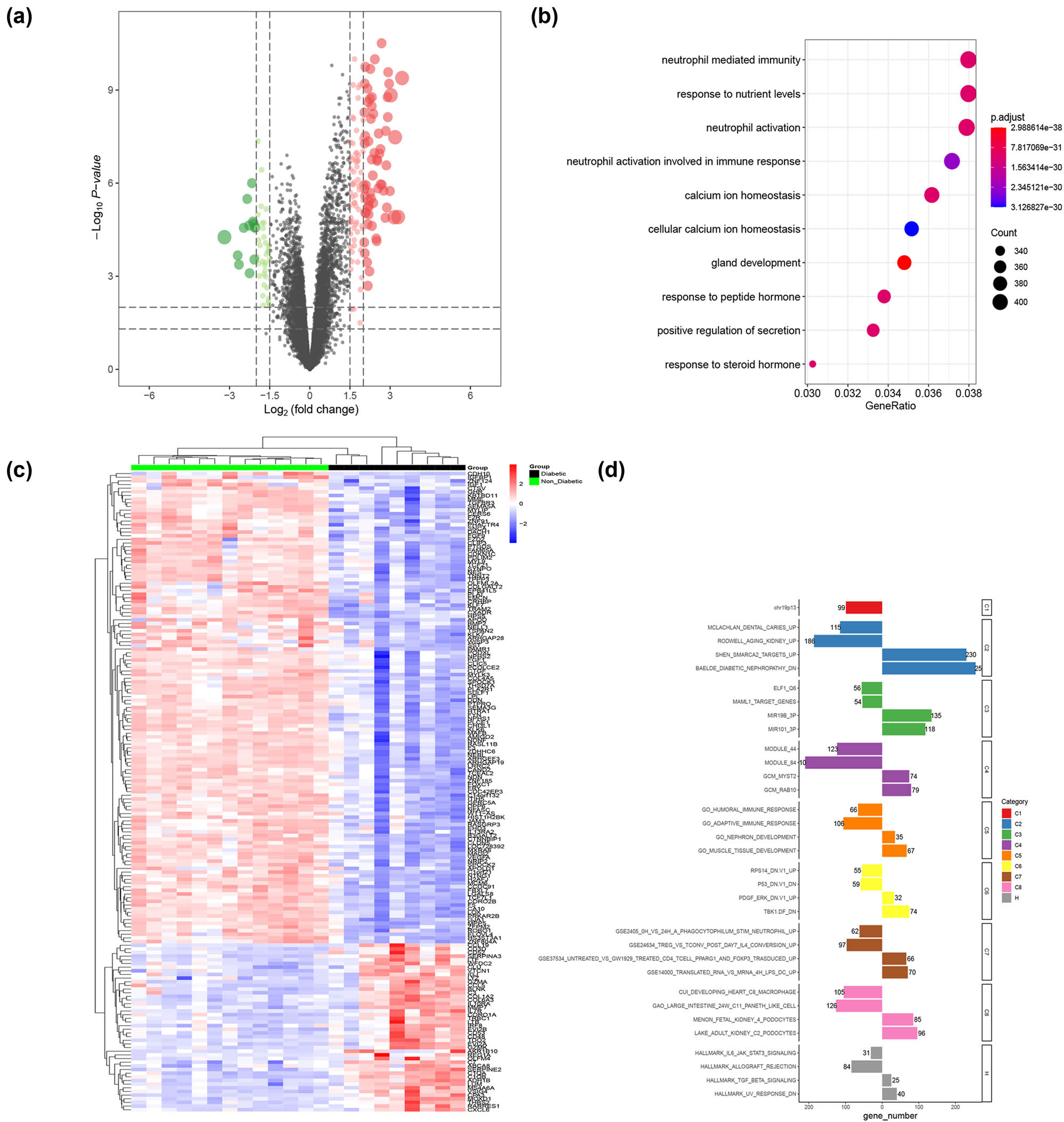 Figure 3 
                  DEGs of diabetic human kidney glomeruli microarray dataset (GSE30122). (a) Volcano plot of DEGs. (b) GO BP enrichment of DEGs. (c) Heatmap of DEG expression. (d) GSEA enrichment of DEGs.
               