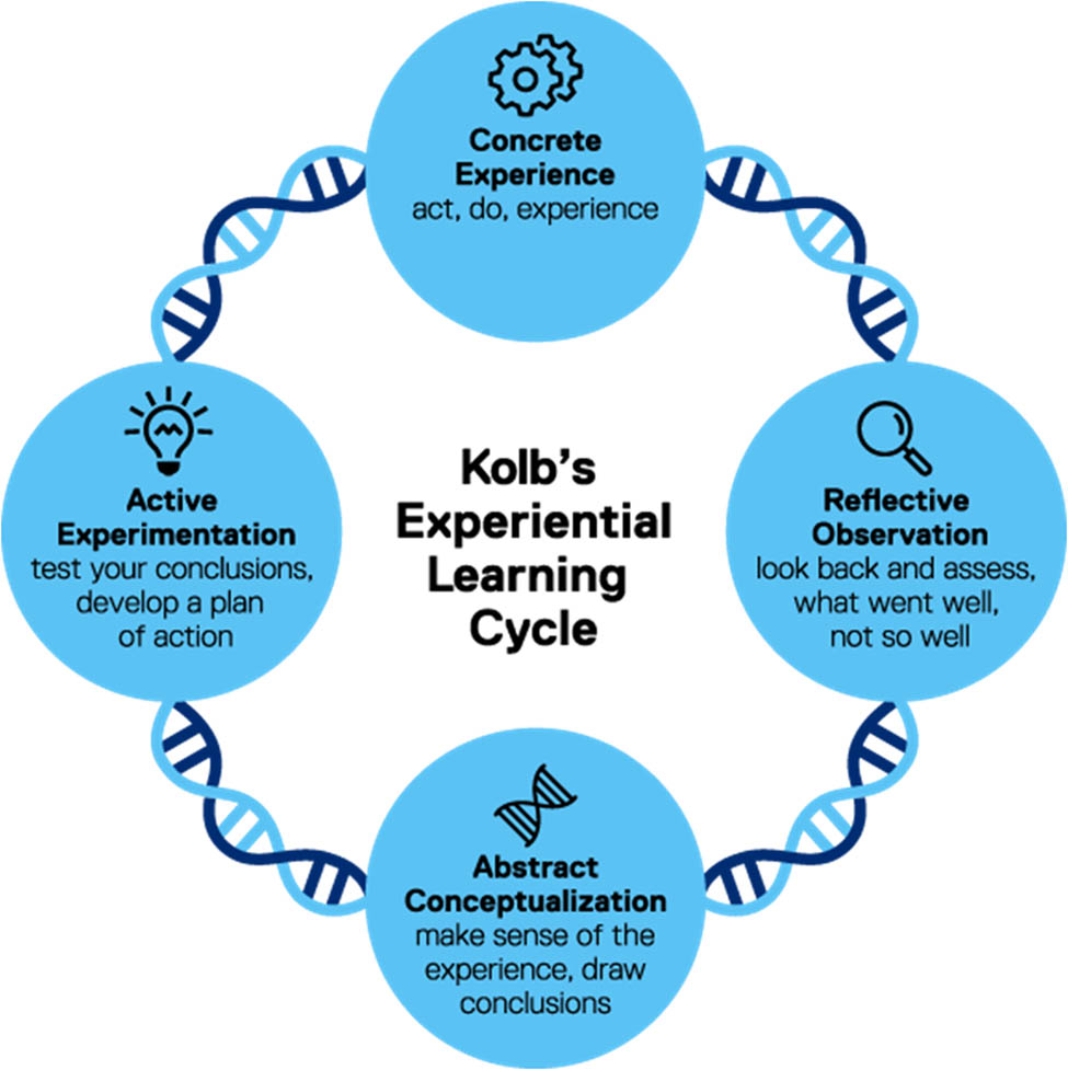Teaser image from the article