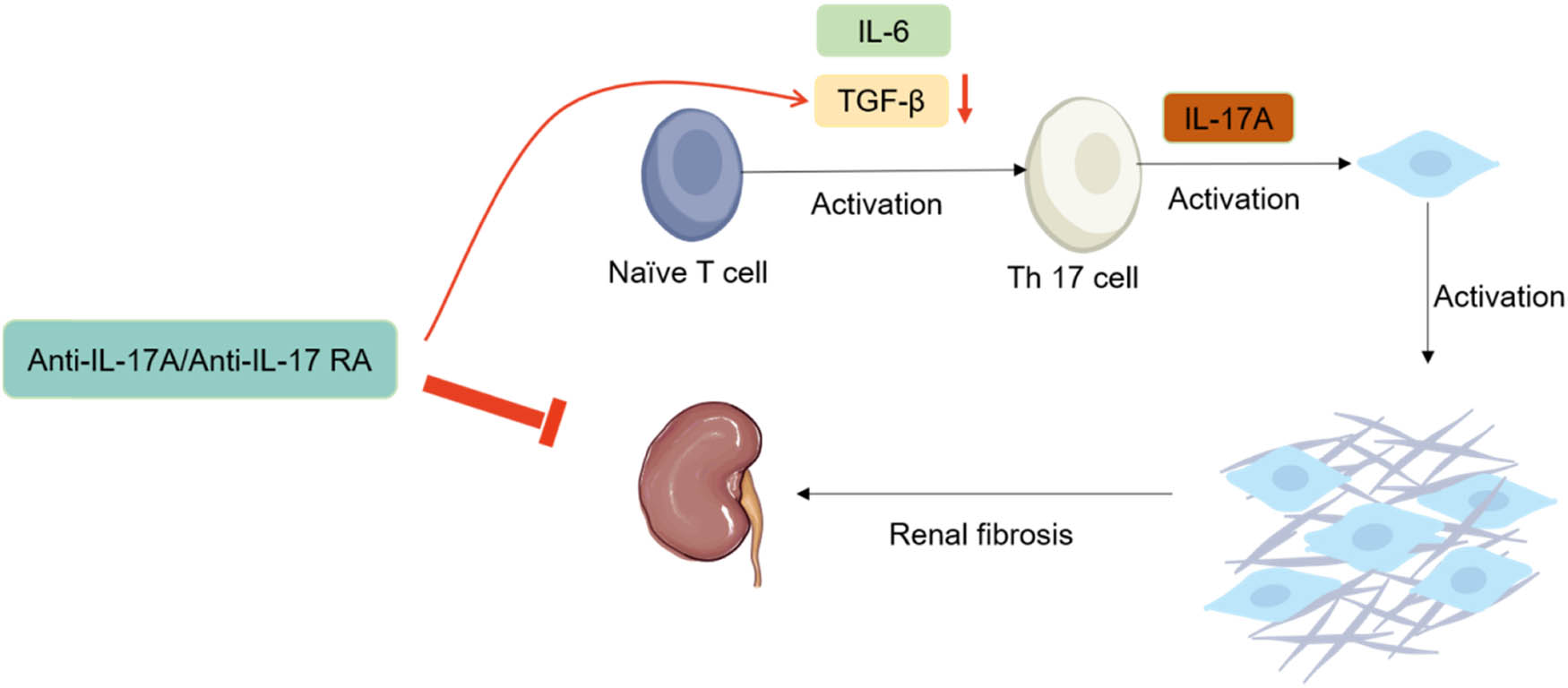 Teaser image from the article