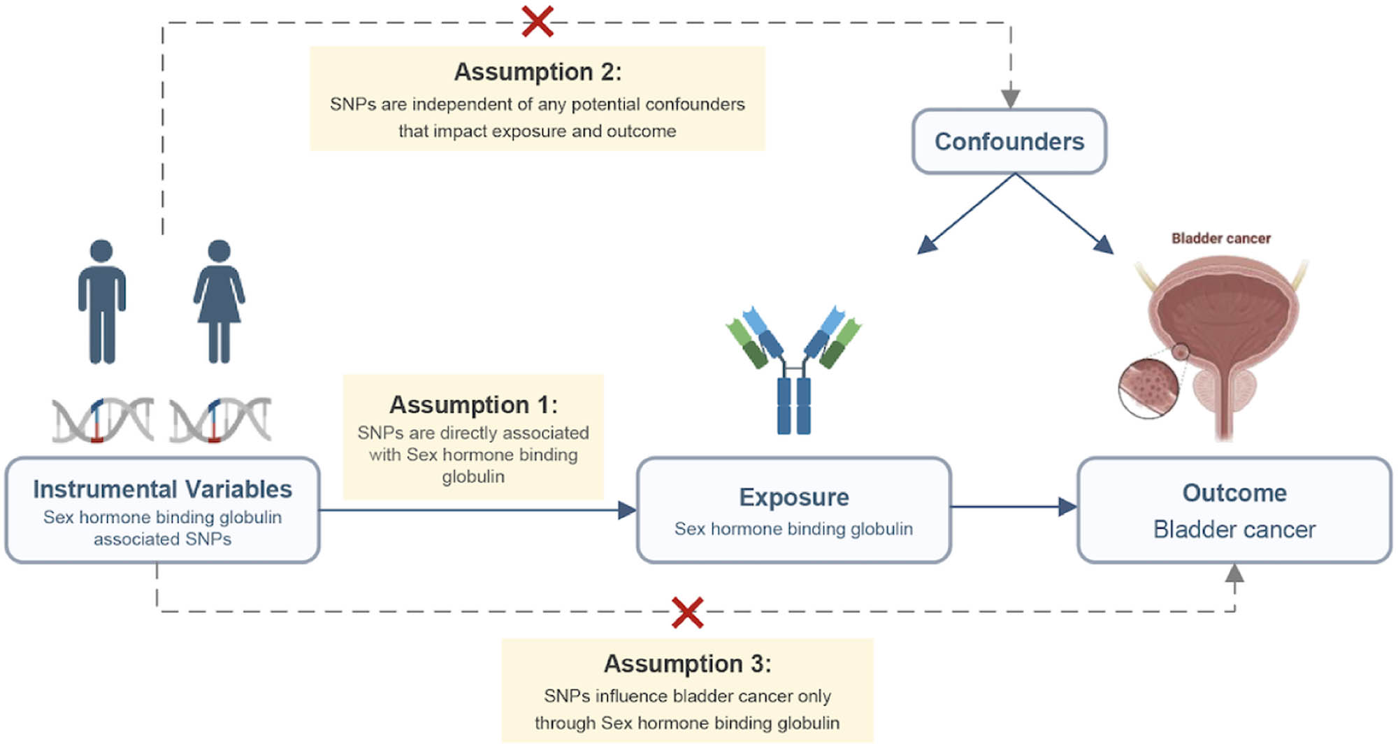 Teaser image from the article