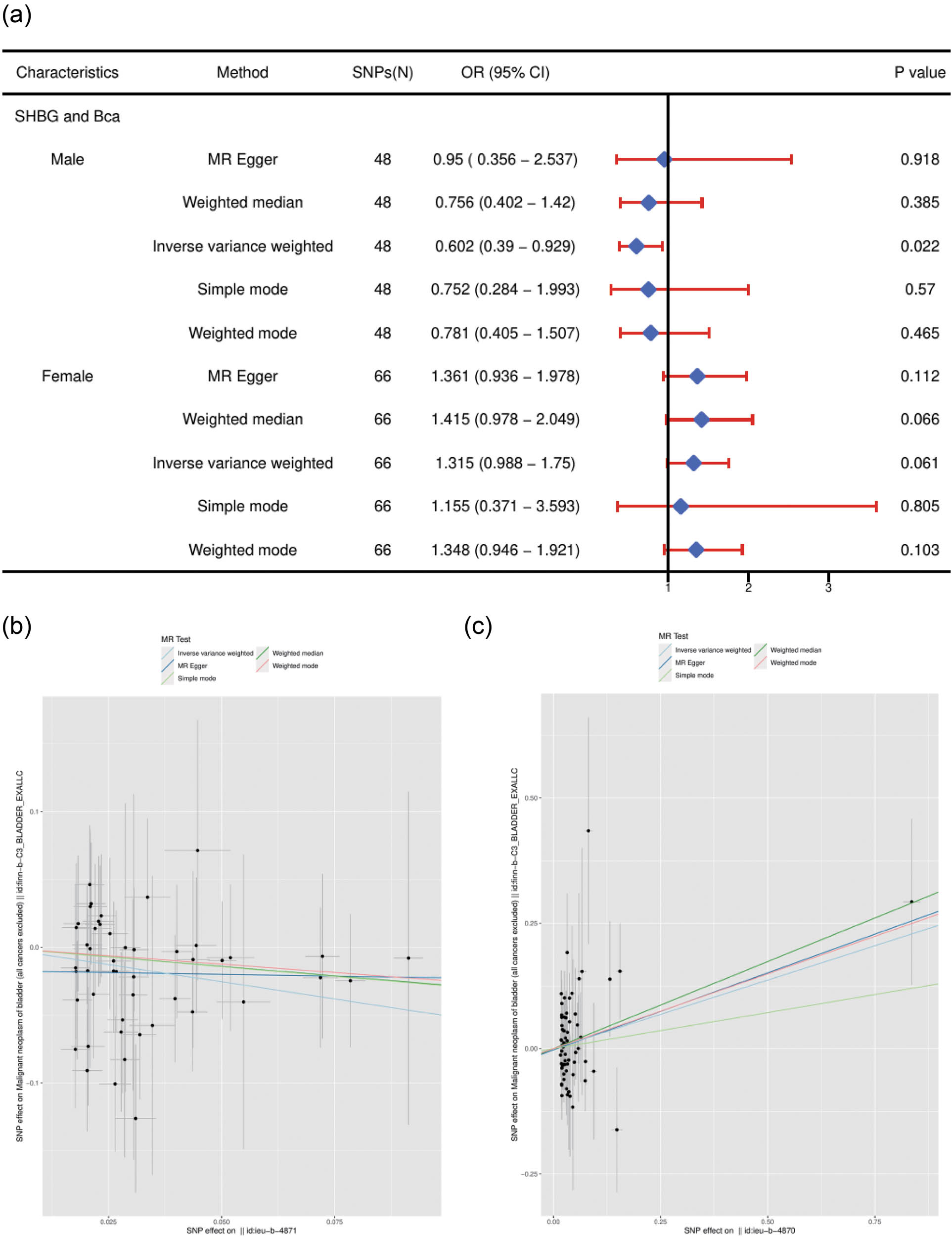 Figure 2 
                  Univariable MR results of SHBG using different methods. (a) The combined forest plot of SHBG on Bca. (b) The scatter plots of SHBG on Bca in males. (c) The scatter plots of SHBG on Bca in females. The number of genetic variants, OR, 95% CI, p values, and MR methods of associations are contained. SNPs(N): the number of single-nucleotide polymorphisms used as IVs; OR: the combined causal effect; CI: confidence interval; SHBG: sex hormone binding globulin; Bca: bladder cancer.
               