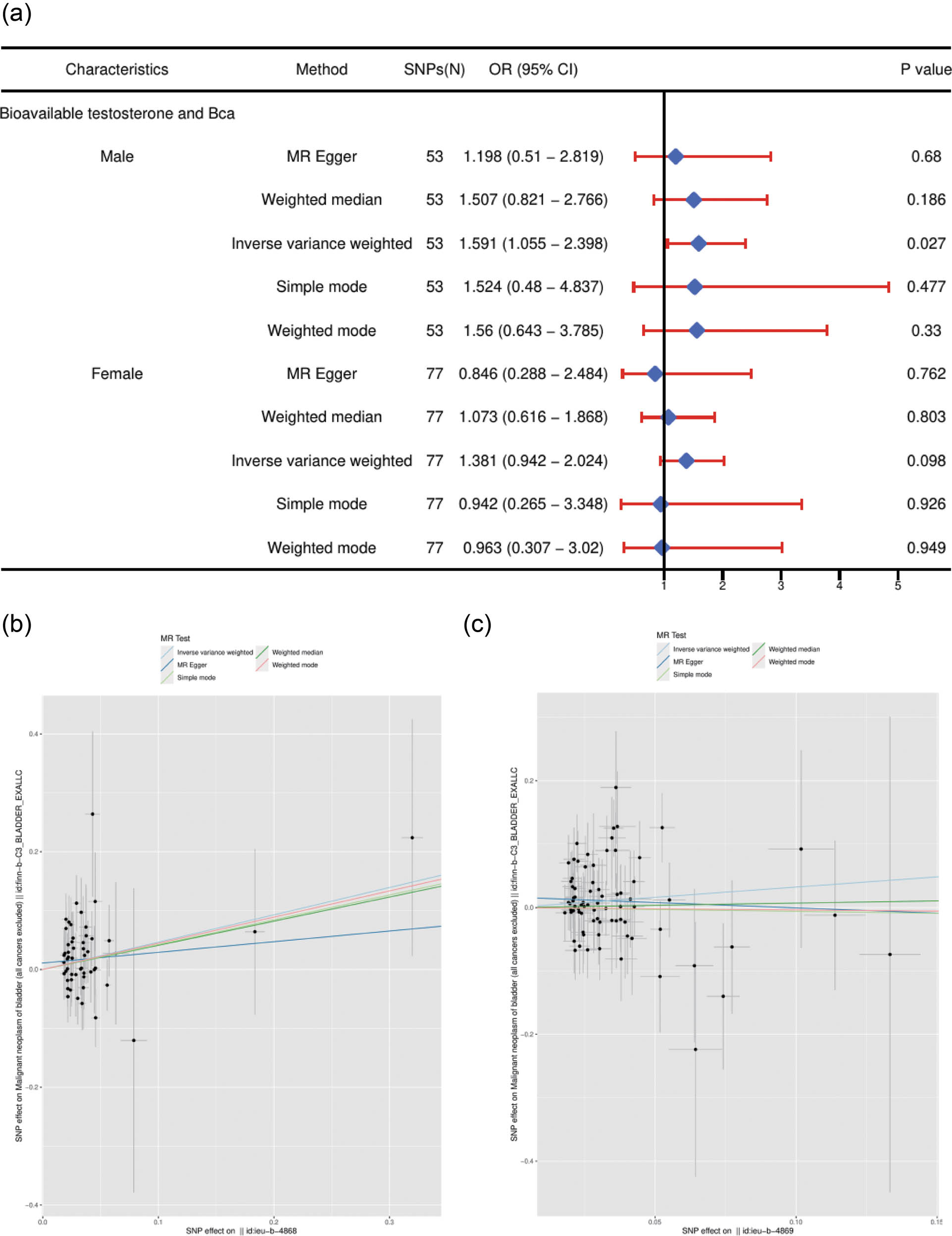 Figure 3 
                  Univariable MR results of BT using different methods. (a) The combined forest plot of BT on Bca. (b) The scatter plots of BT on Bca in males. (c) The scatter plots of BT on Bca in females. The number of genetic variants, OR, 95% CI, p values, and MR methods of associations are contained. SNPs(N): the number of single-nucleotide polymorphisms used as IVs; OR: the combined causal effect; CI: confidence interval; Bca: bladder cancer.
               