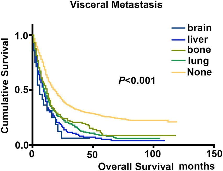 Figure 2
Kaplan–Meier analyses with the log-rank for the impact of different visceral metastasis on OS in stage IVB cervical cancer patients.