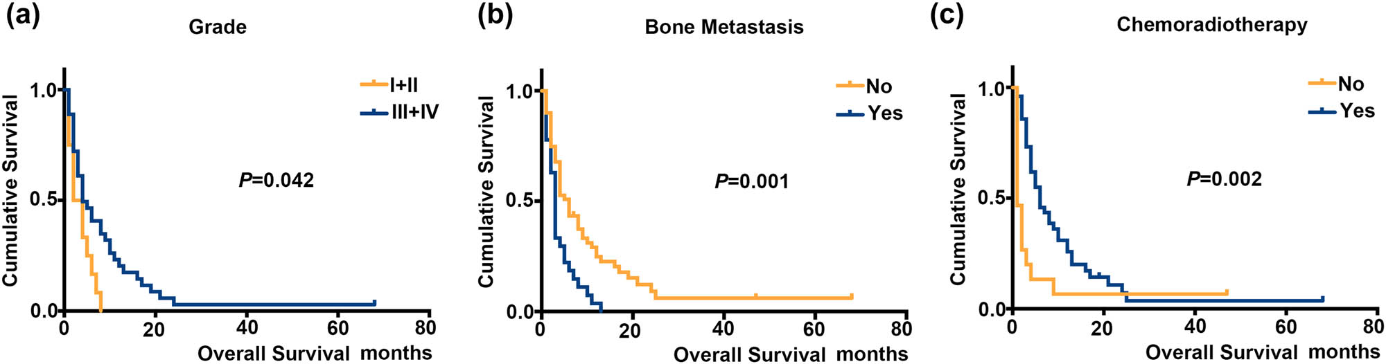 Figure 3
Kaplan–Meier analyses with the log-rank for OS in stage IVB cervical cancer patients with brain metastasis: (a) grade I–II vs III–IV, (b) with vs without bone metastasis, and (c) with vs without chemotherapy.