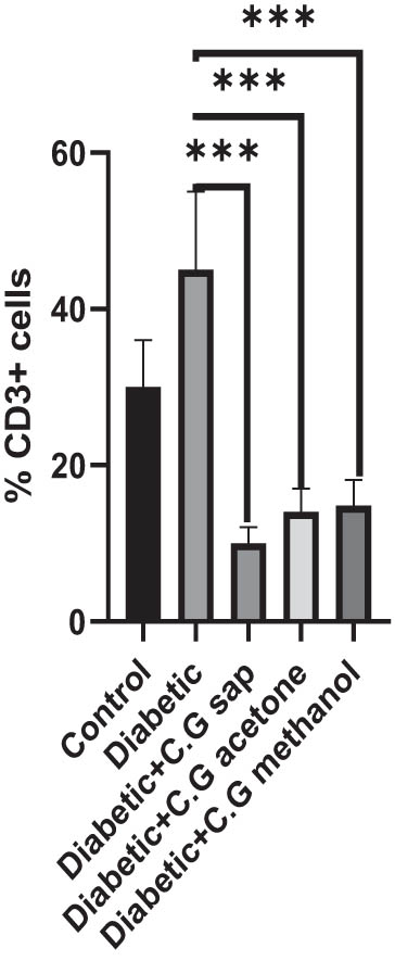 Figure 2 
                  CD3+ cells in all groups.
               