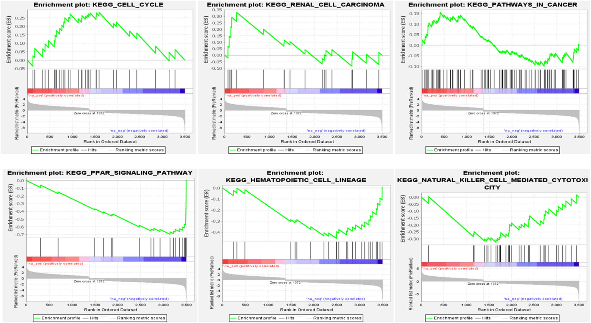 Figure 5 
                  Top six pathway enrichment analyses of METTL3 in CRC.
               