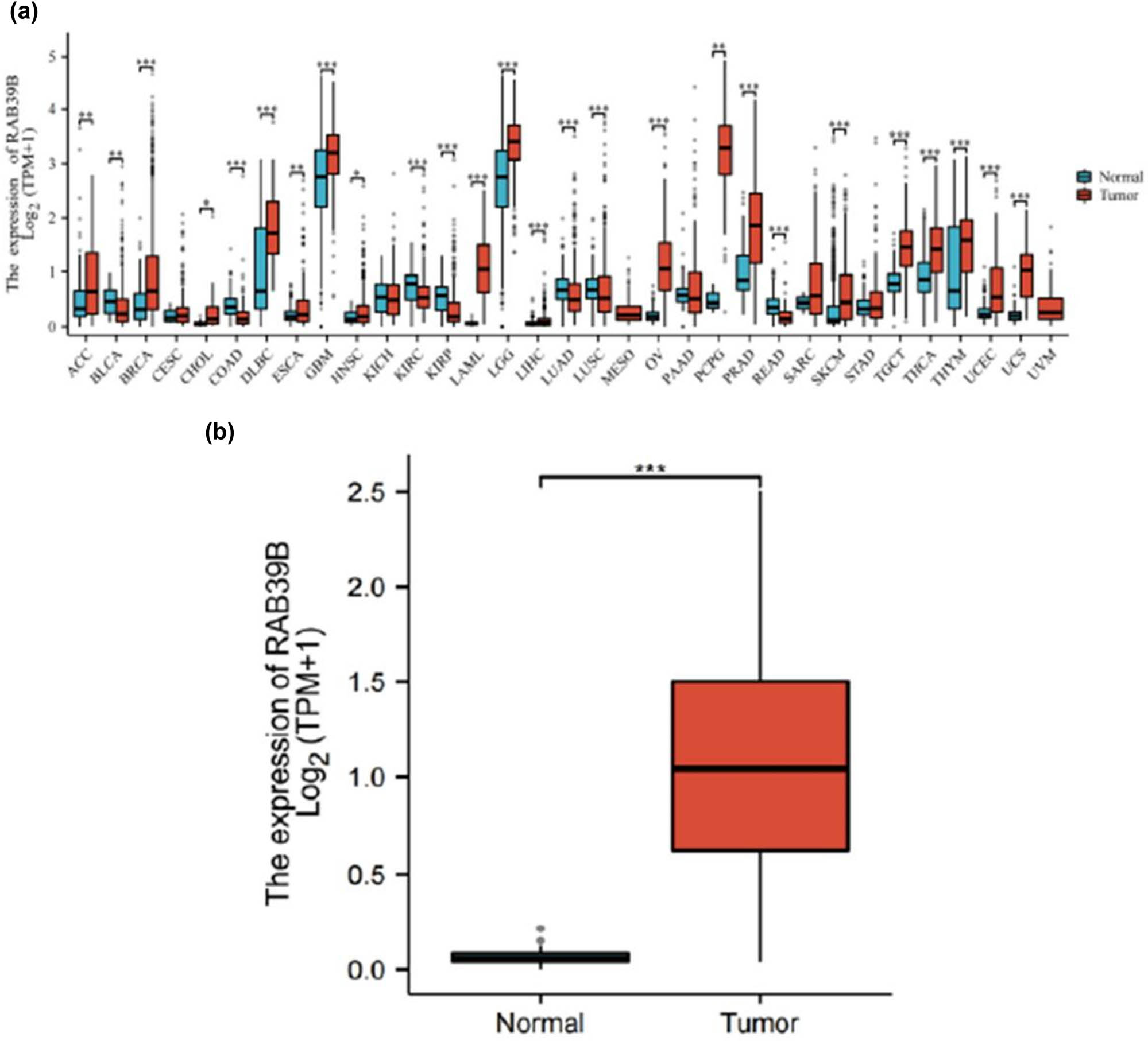 Teaser image from the article