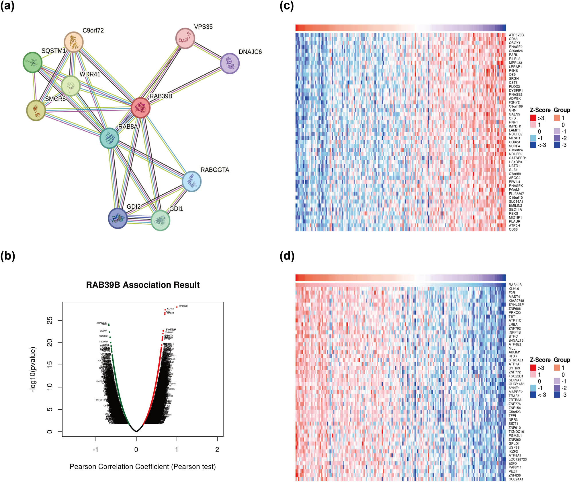 Figure 2
Analysis of genes associated with RAB39B and their enrichment. (a) RAB39B’s PPI network. (b) AML coexpressed genes were analyzed by LinkedOmics and visualized by Volcano plots. (c) The top 50 genes that have a positive correlation with RAB39B in AML. (d) The 50 most negatively correlated genes with RAB39B in AML.