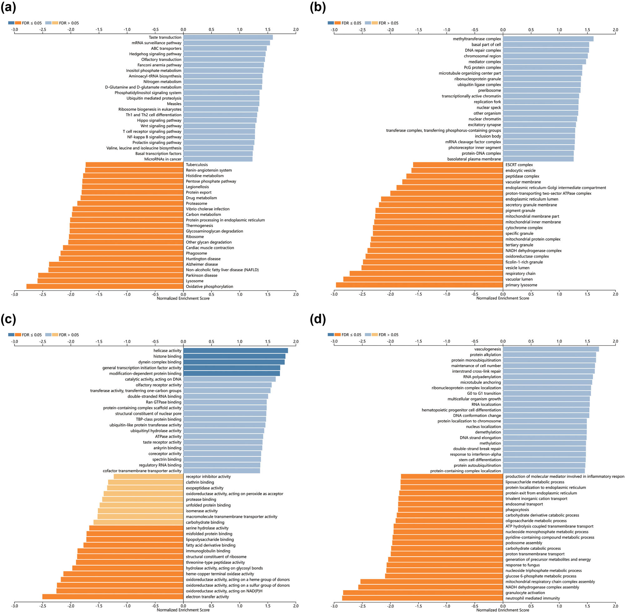 Figure 3
Enrichment analysis of RAB39B coexpressed genes in AML. GO biological process (a), cellular component (b), and molecular function (c) analyses were used to annotate coexpressed genes of RAB39B. (d) KEGG pathway analysis of RAB39B coexpressed genes.