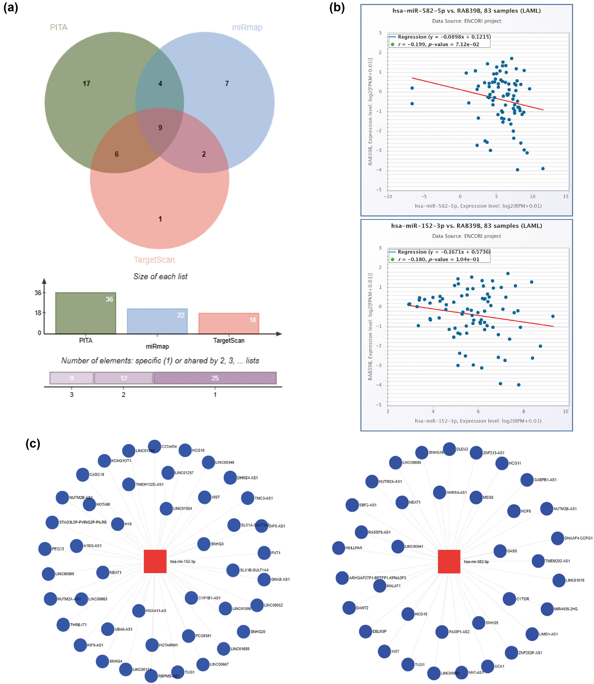 Figure 5
Construction of a ceRNA network associated with RAB39B in AML. (a) A Venn diagram illustrating the potential targets of RAB39B as predicted by PITA, miRmap, and TargetScan. (b) Scatter plots illustrating the correlation between RAB39B and the miRNAs of interest. (c) miRNet provides predicted target lncRNAs for hsa-miR-152-3p and hsa-miR-582-5p. (d) Scatter plots depict the correlation of hsa-miR-152-3p or hsa-miR-582-5p with the target lncRNAs. (e) The ceRNA hypothesis is supported by a sandwich figure illustrating the regulatory network of lncRNA miRNA mRNA (RAB39B).