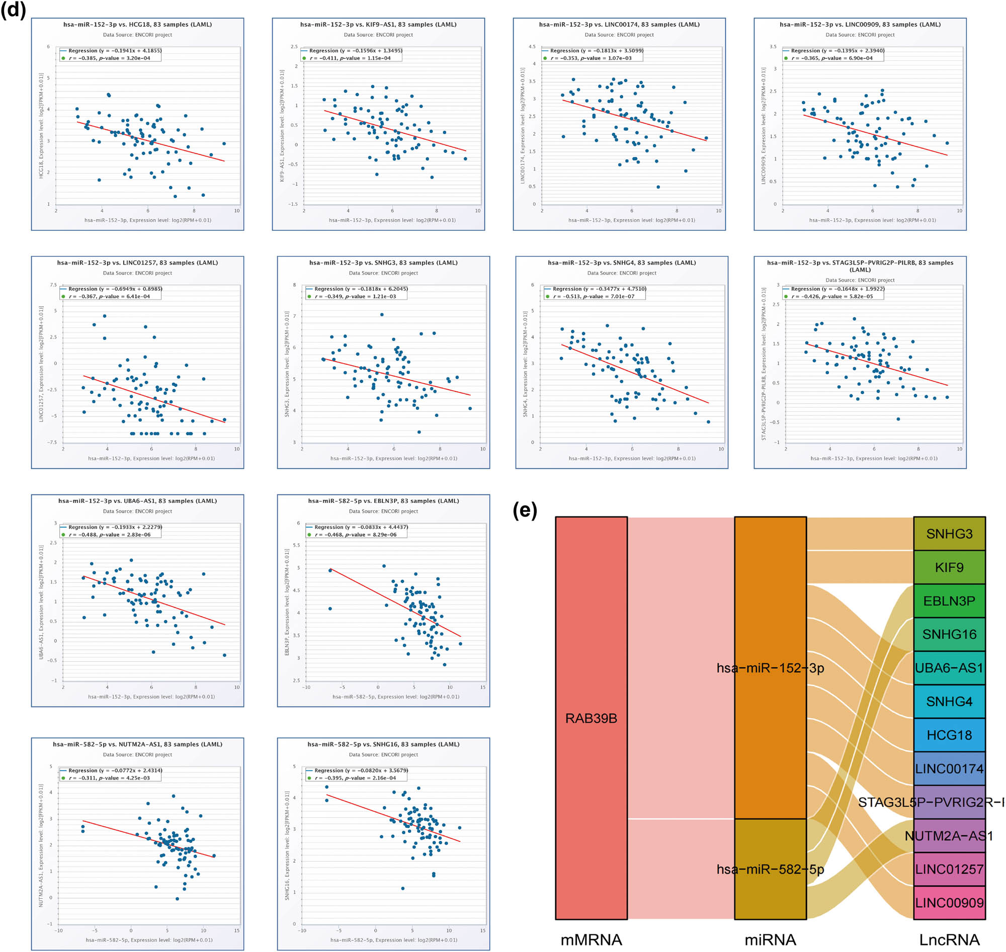 Figure 5
Construction of a ceRNA network associated with RAB39B in AML. (a) A Venn diagram illustrating the potential targets of RAB39B as predicted by PITA, miRmap, and TargetScan. (b) Scatter plots illustrating the correlation between RAB39B and the miRNAs of interest. (c) miRNet provides predicted target lncRNAs for hsa-miR-152-3p and hsa-miR-582-5p. (d) Scatter plots depict the correlation of hsa-miR-152-3p or hsa-miR-582-5p with the target lncRNAs. (e) The ceRNA hypothesis is supported by a sandwich figure illustrating the regulatory network of lncRNA miRNA mRNA (RAB39B).