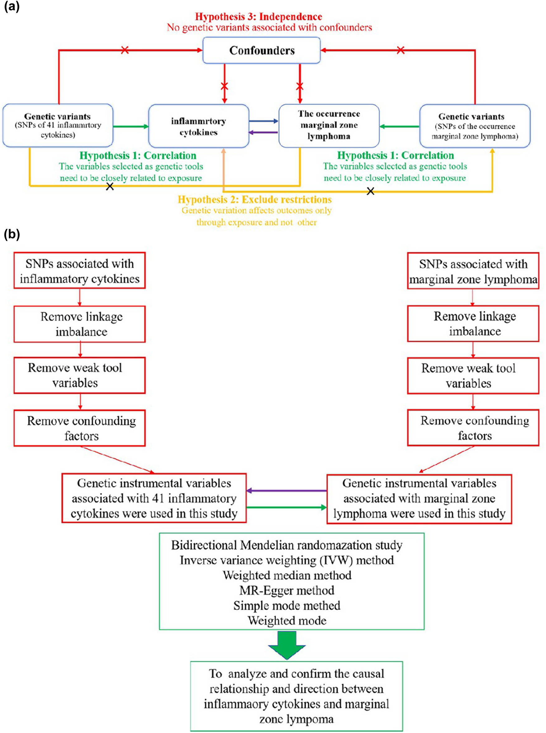Figure 1 
                  Bidirectional two-sample MR study structure. (a) The diagram outlines the foundational principles for MR analysis, emphasizing the key assumptions: (1) correlation, genetic variants are significantly associated with the exposure; (2) independence, genetic instruments should not be related to confounders; (3) exclusion restrictions, genetic variants affect the outcome only through the exposure, without alternative pathways. (b) The conceptual design and analysis approach of the bidirectional MR used in this study.
               