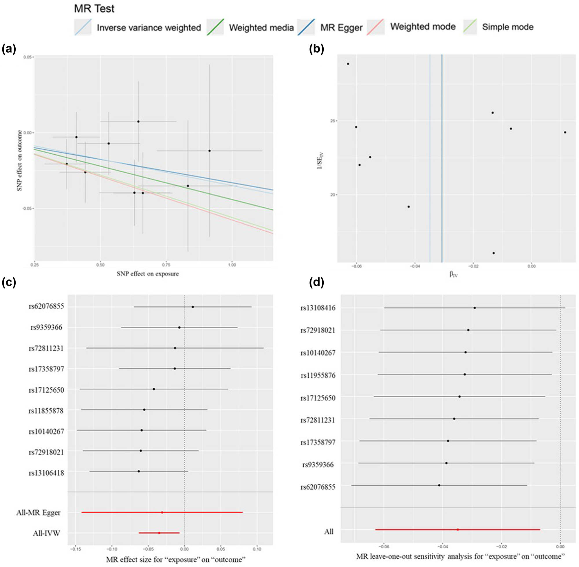 Figure 5 
                  Visual results for reverse MR analysis of IFN-G and MZL. (a) Scatter plot of reverse MR analysis of IFN-G and MZL. (b) Funnel plot of reverse MR analysis of IFN-G and MZL. (c) Forest plot of reverse MR analysis of IFN-G and MZL. (d) Leave-one-out analyses of reverse MR analysis of IFN-G and MZL.
               