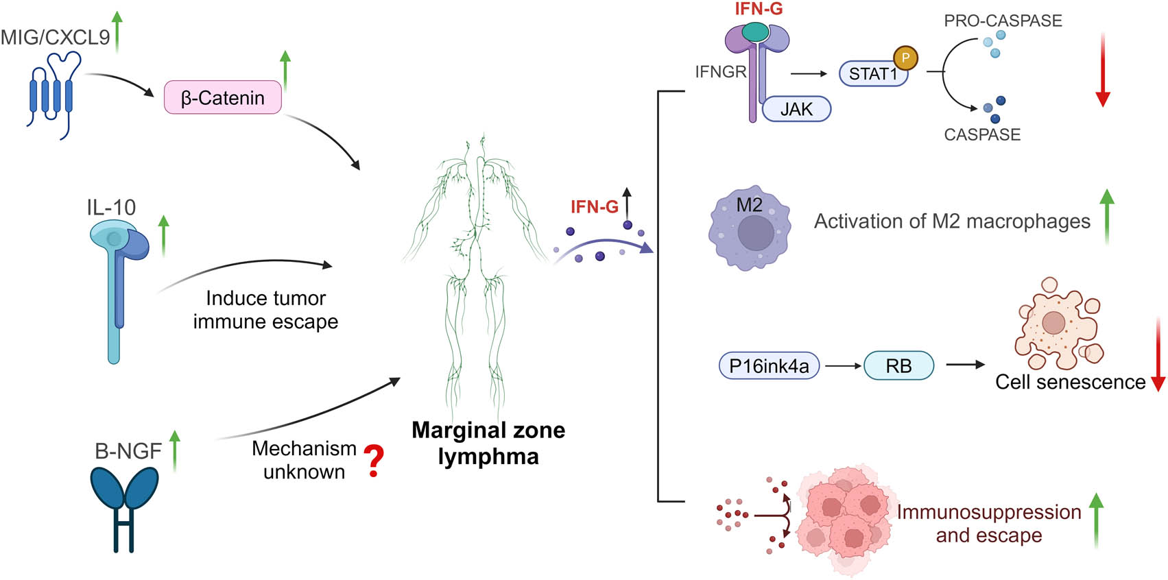 Teaser image from the article