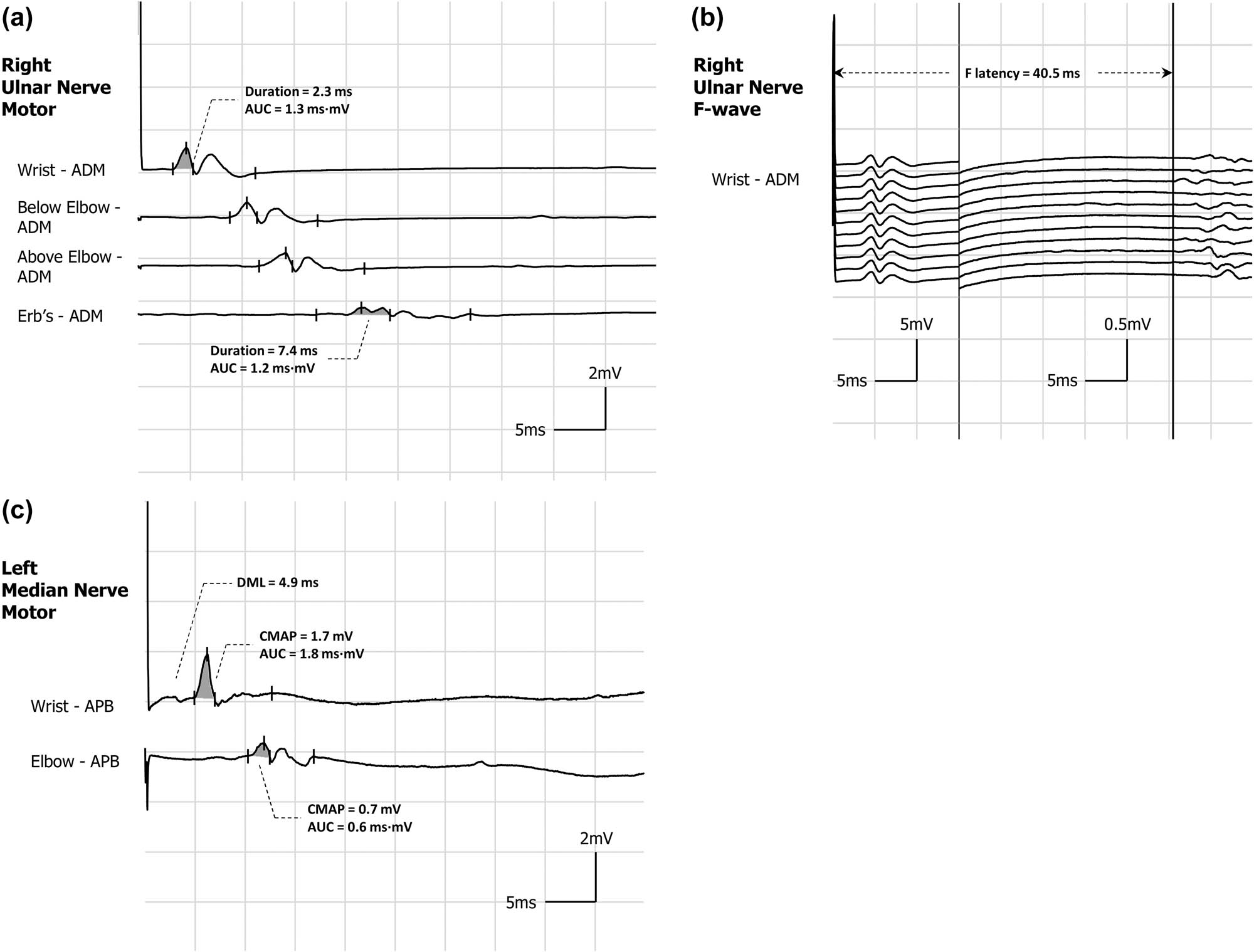 Teaser image from the article