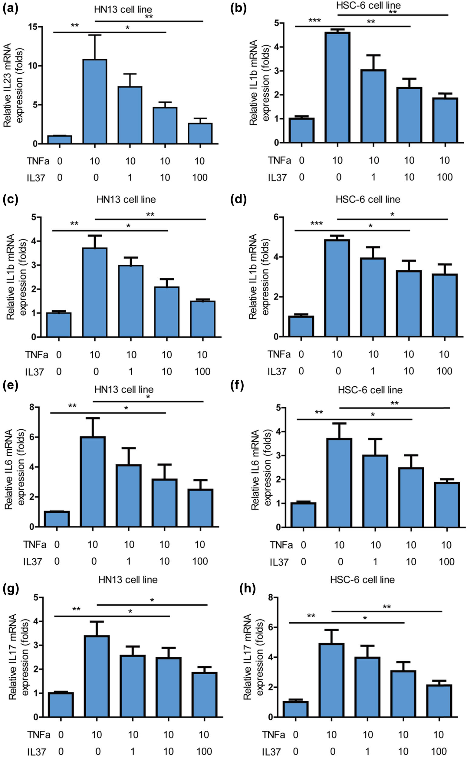 Figure 4
IL-37 inhibited inflammation on oral cancer cells. (a) IL-37 potently inhibited TNF-α-induced increase of pro-inflammation gene IL23 on HN13 cells. (b) IL-37 potently inhibited TNF-α-induced increase of pro-inflammation gene IL23 on HSC-6 cells. (c) IL-37 potently inhibited TNF-α-induced increase of pro-inflammation gene IL1B on HN13 cells. (d) IL-37 potently inhibited TNF-α-induced increase of pro-inflammation gene IL1B on HSC-6 cells. (e) IL-37 potently inhibited TNF-α-induced increase of pro-inflammation gene IL6 on HN13 cells. (f) IL-37 potently inhibited TNF-α-induced increase of pro-inflammation gene IL6 on HSC-6 cells. (g) IL-37 potently inhibited TNF-α-induced increase of pro-inflammation gene IL17 on HN13 cells. (h) IL-37 potently inhibited TNF-α-induced increase of pro-inflammation gene IL17 on HSC-6 cells.