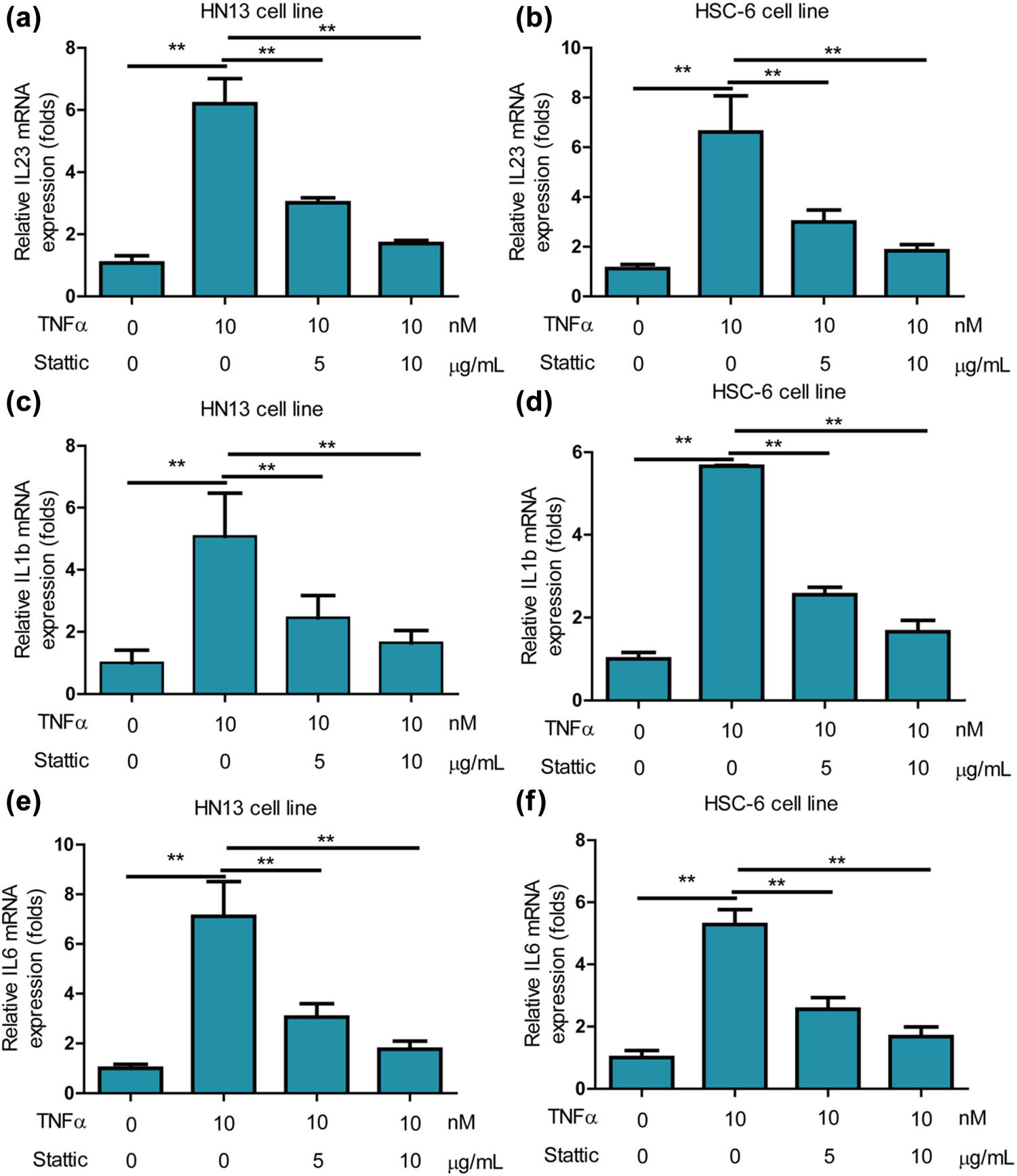 Figure 5
STAT3 closely regulated inflammation on oral cancer cells. (a) The STAT3 inhibitor stattic potently alleviated promotion effects of TNF-α (10 ng/mL) on inflammation gene IL23 on HN13 cells. (b) Stattic potently alleviated promotion effects of TNF-α (10 ng/mL) on inflammation gene IL23 on HSC-6 cells. (c) Stattic potently alleviated promotion effects of TNF-α (10 ng/mL) on inflammation gene IL1b on HN13 cells. (d) Stattic potently alleviated promotion effects of TNF-α (10 ng/mL) on inflammation gene IL23 on HSC-6 cells. (e) Stattic potently alleviated promotion effects of TNF-α (10 ng/mL) on inflammation gene IL6 on HN13 cells. (f) Stattic potently alleviated promotion effects of TNF-α (10 ng/mL) on inflammation gene IL6 on HSC-6 cells.